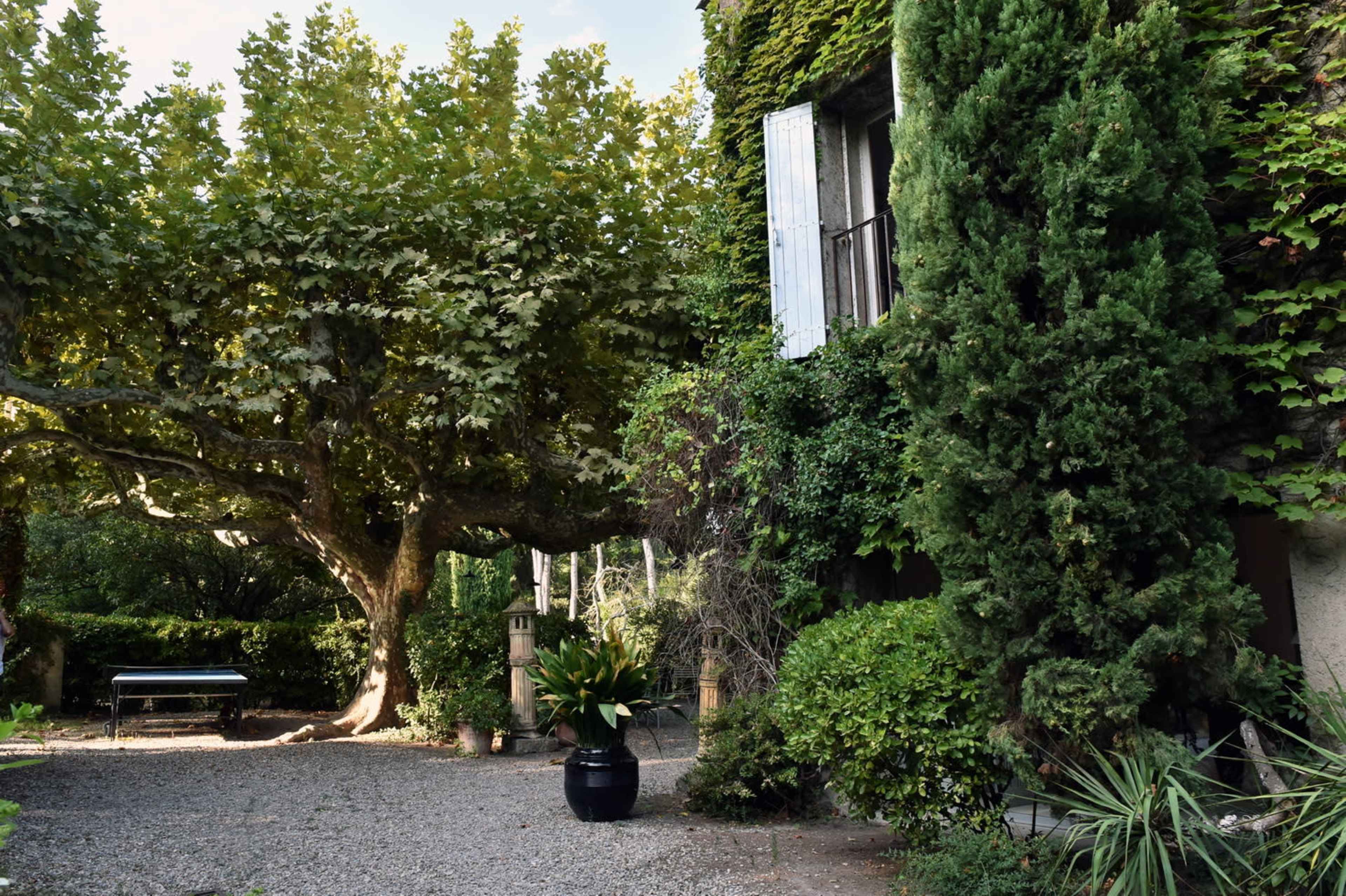 A courtyard features a large tree, greenery, and a building with partially open shutters.