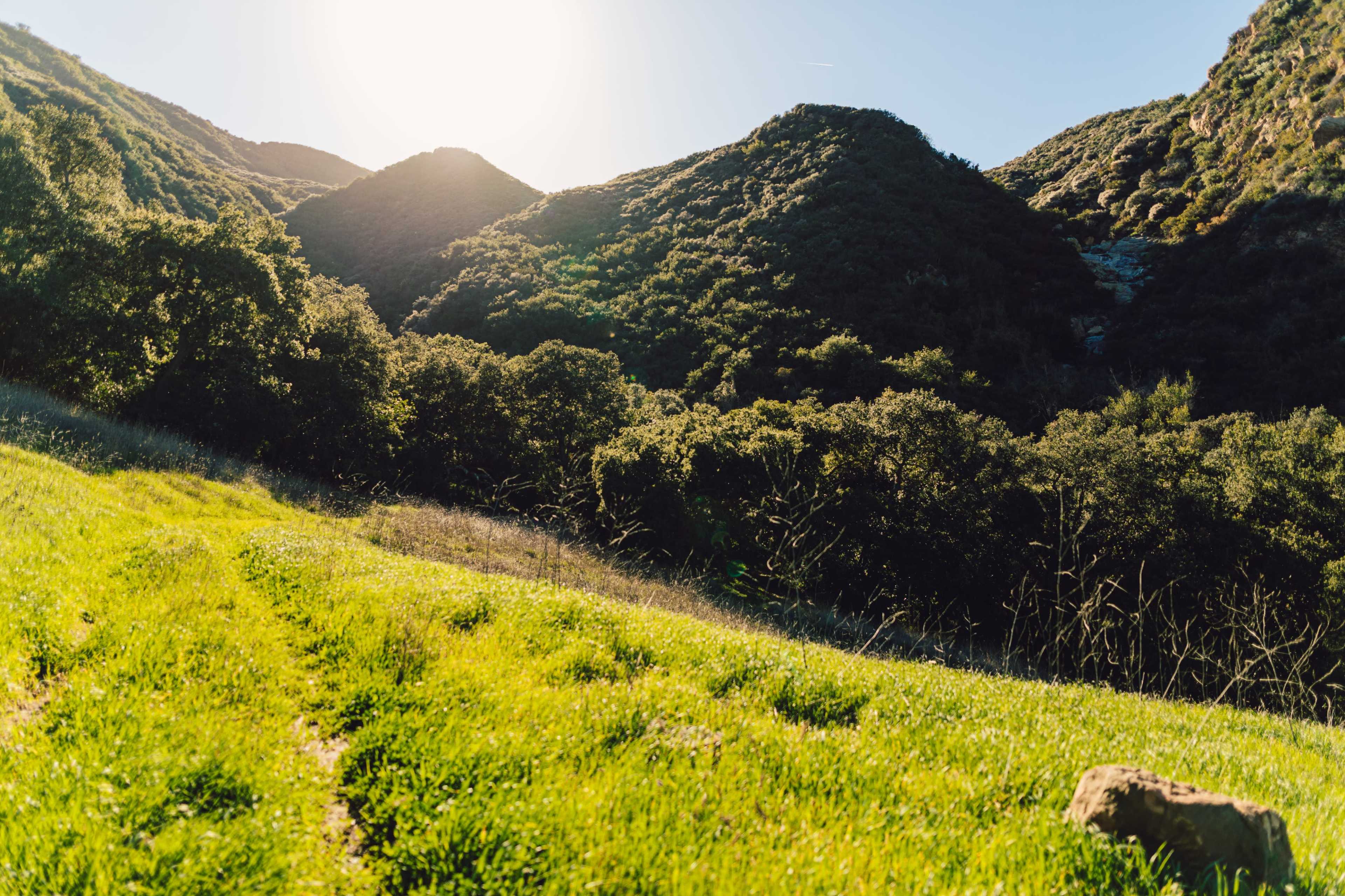 A lush, green hillside with mountains in the background and sunlight illuminating the scene.