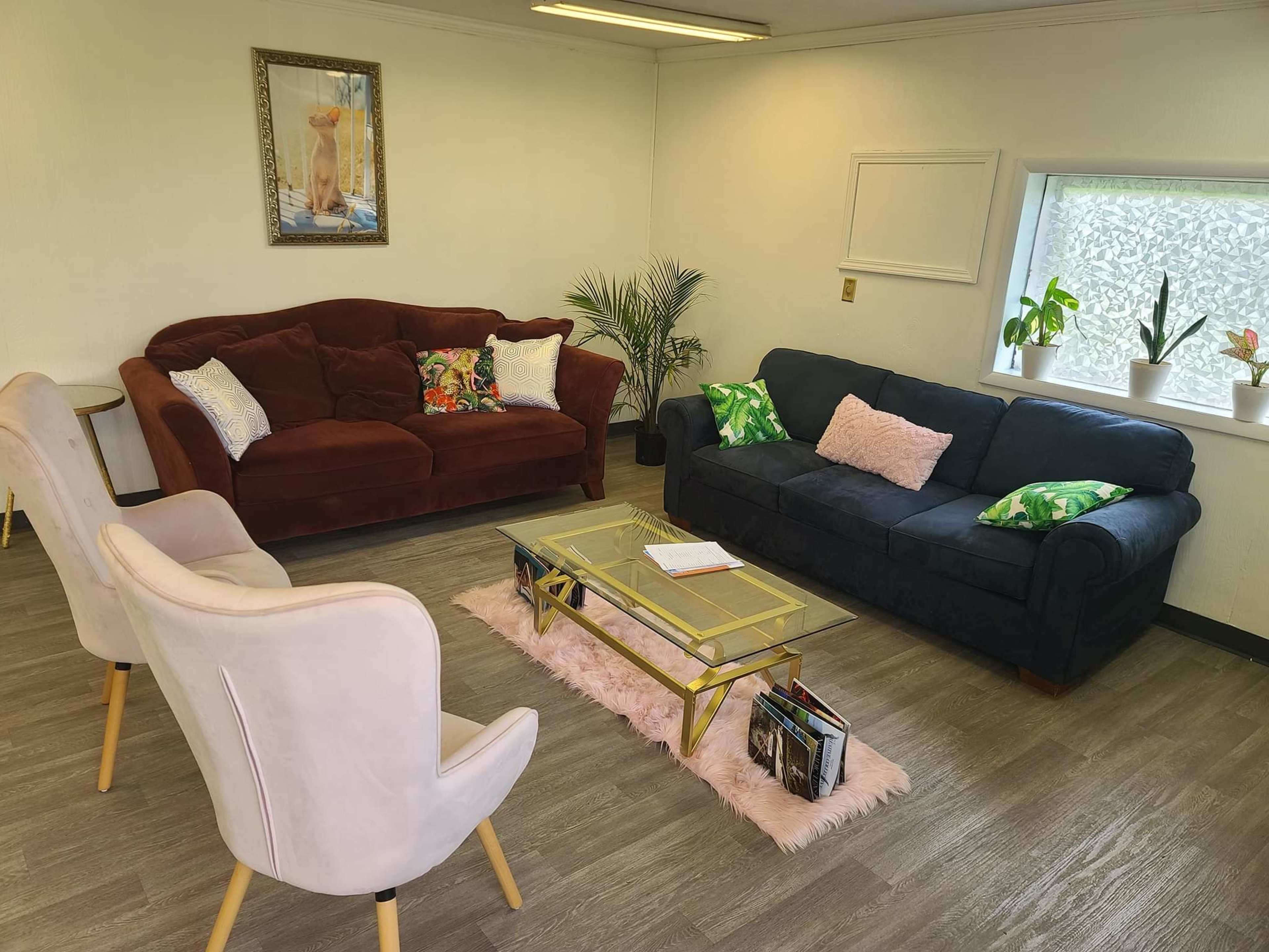 A cozy living room with two sofas, a coffee table, and potted plants arranged around a light-colored rug.