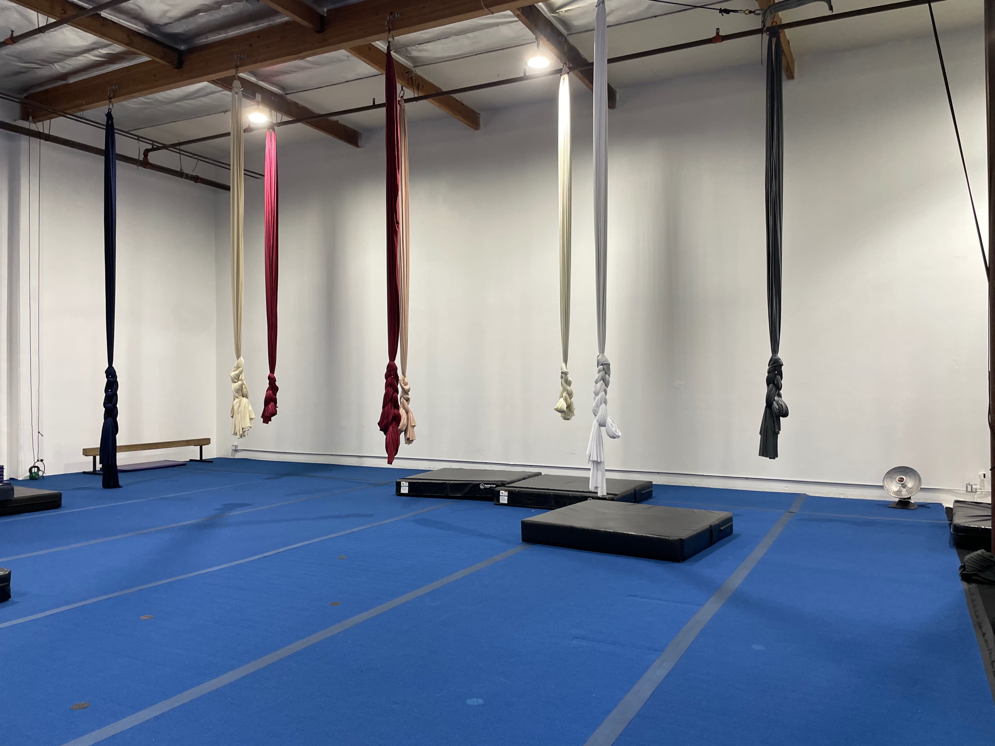 An indoor aerial silks studio with colorful silks hanging from the ceiling and blue mats on the floor.
