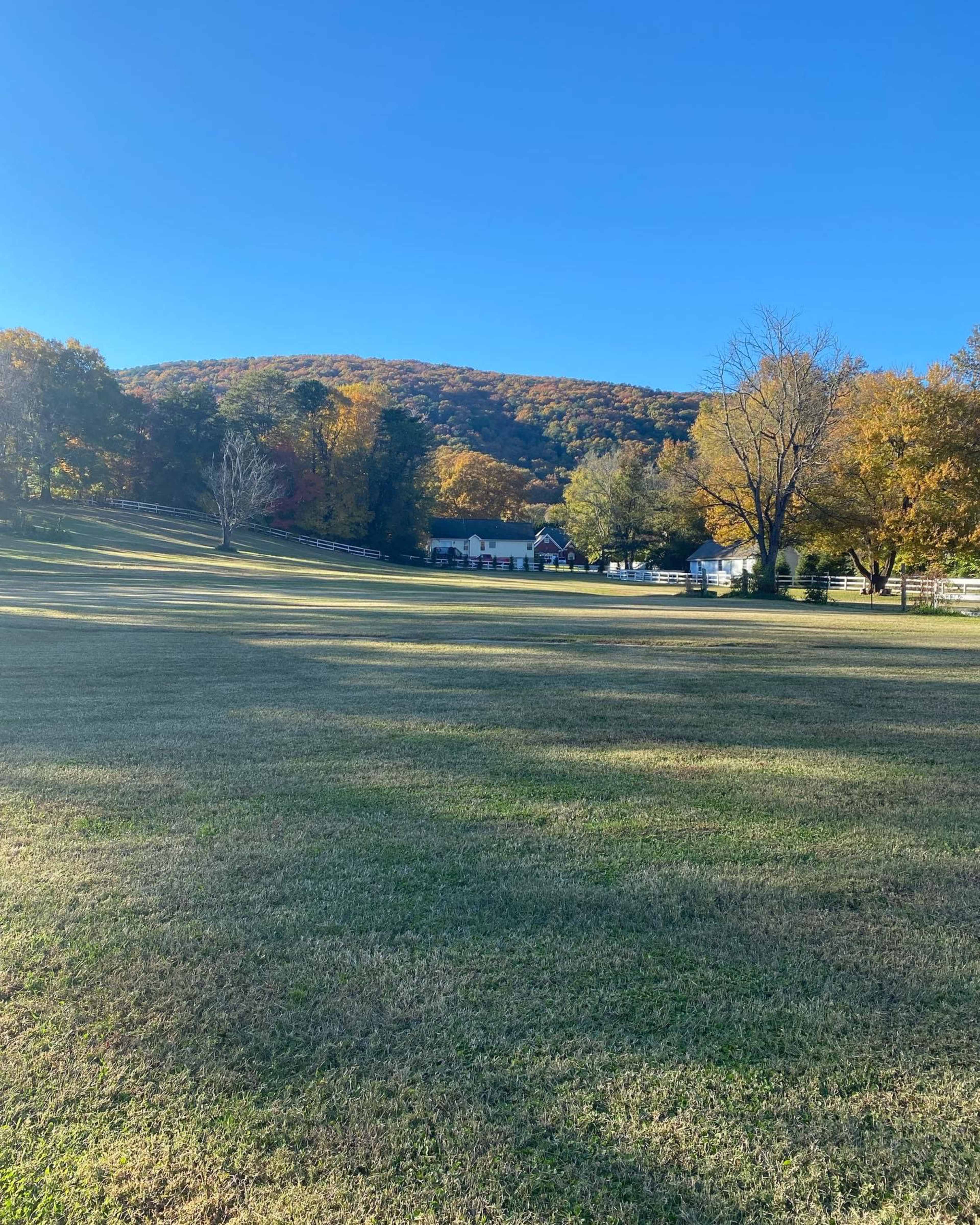 A grassy field with a few trees in the foreground leads to a house situated at the base of a wooded hill under a clear blue sky.