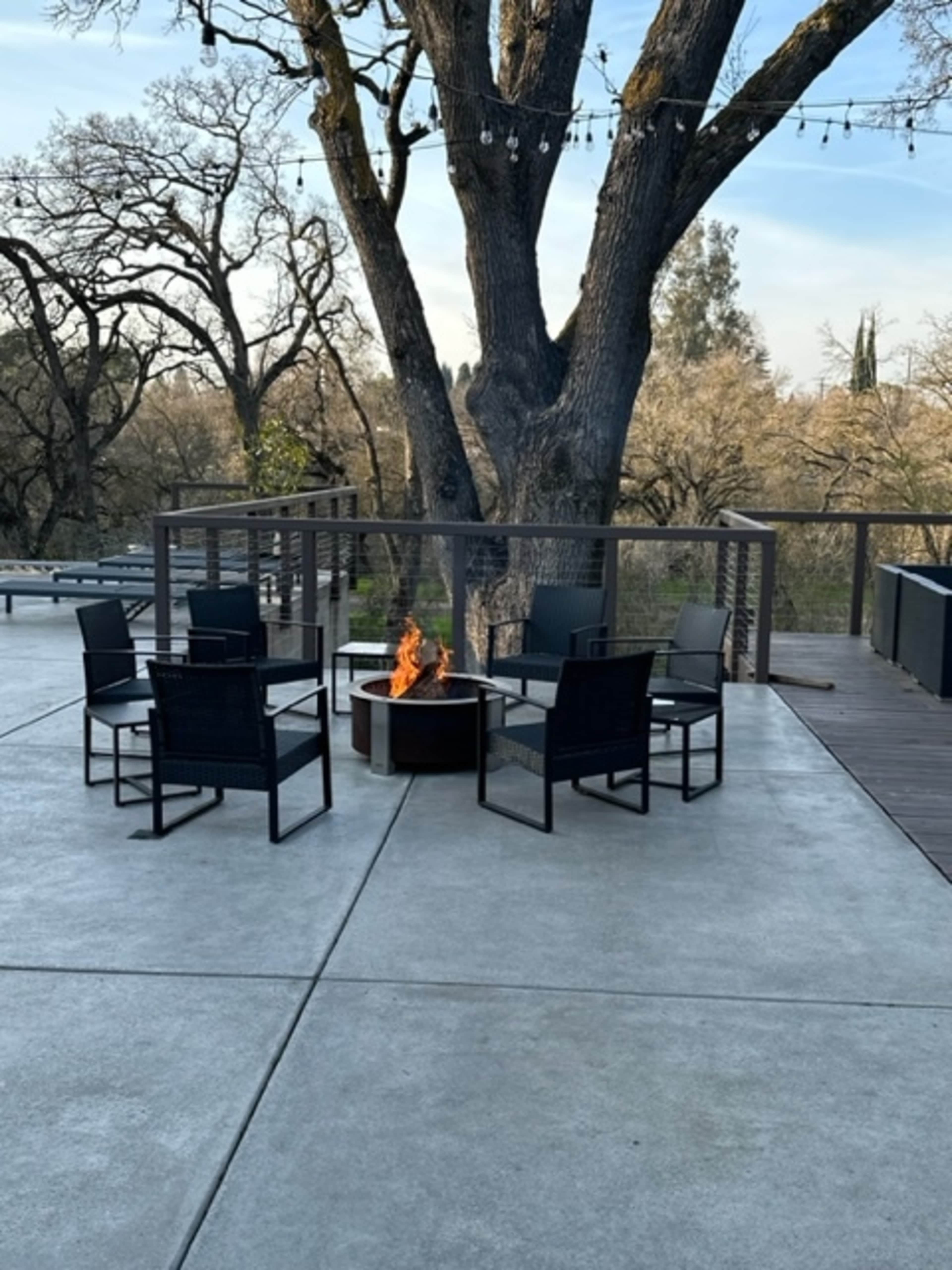 A circular fire pit is surrounded by five black chairs on a concrete patio near a large tree.