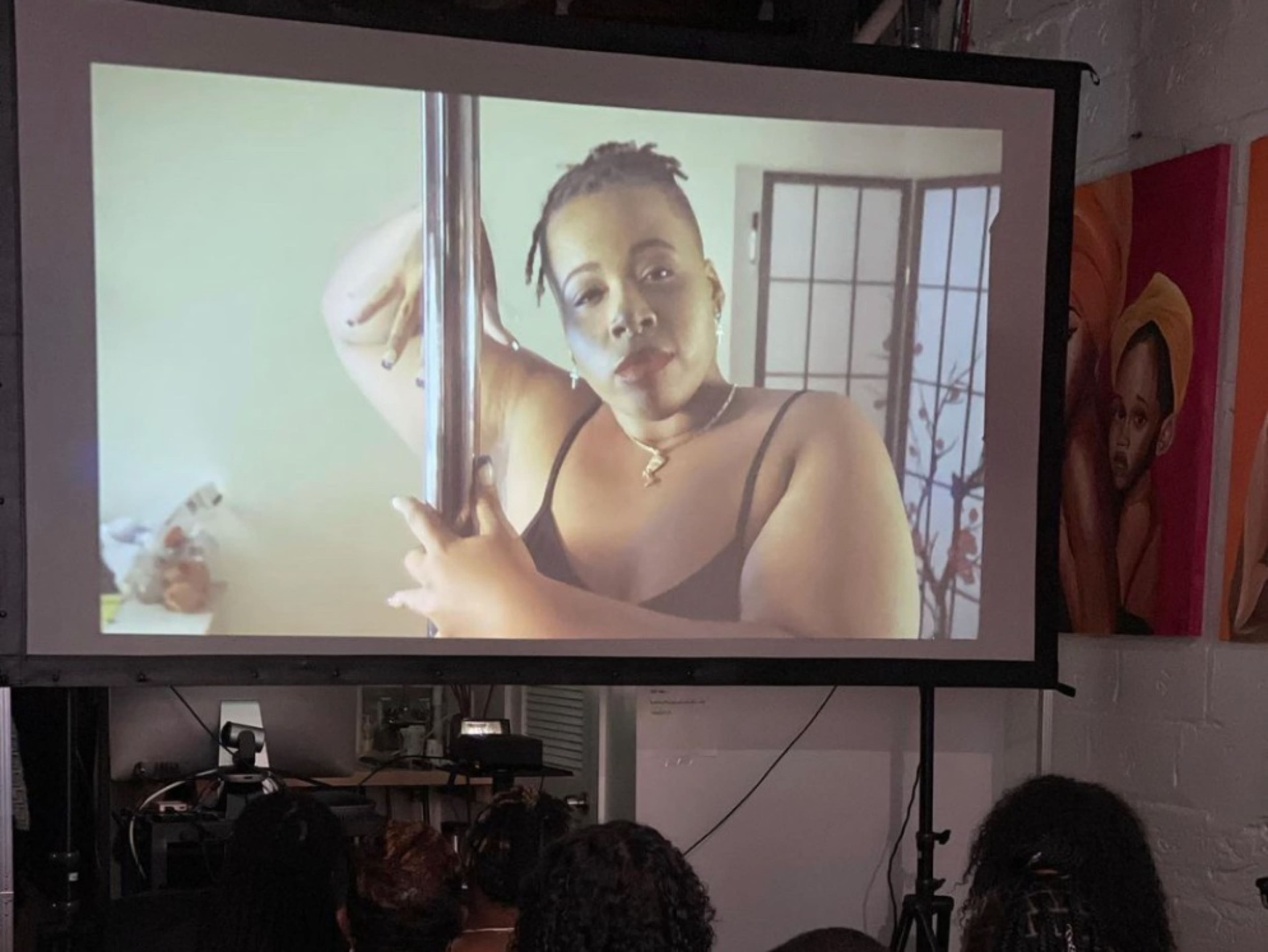 10 Foot Wide Rear/Front Projector Screen - HD/1080