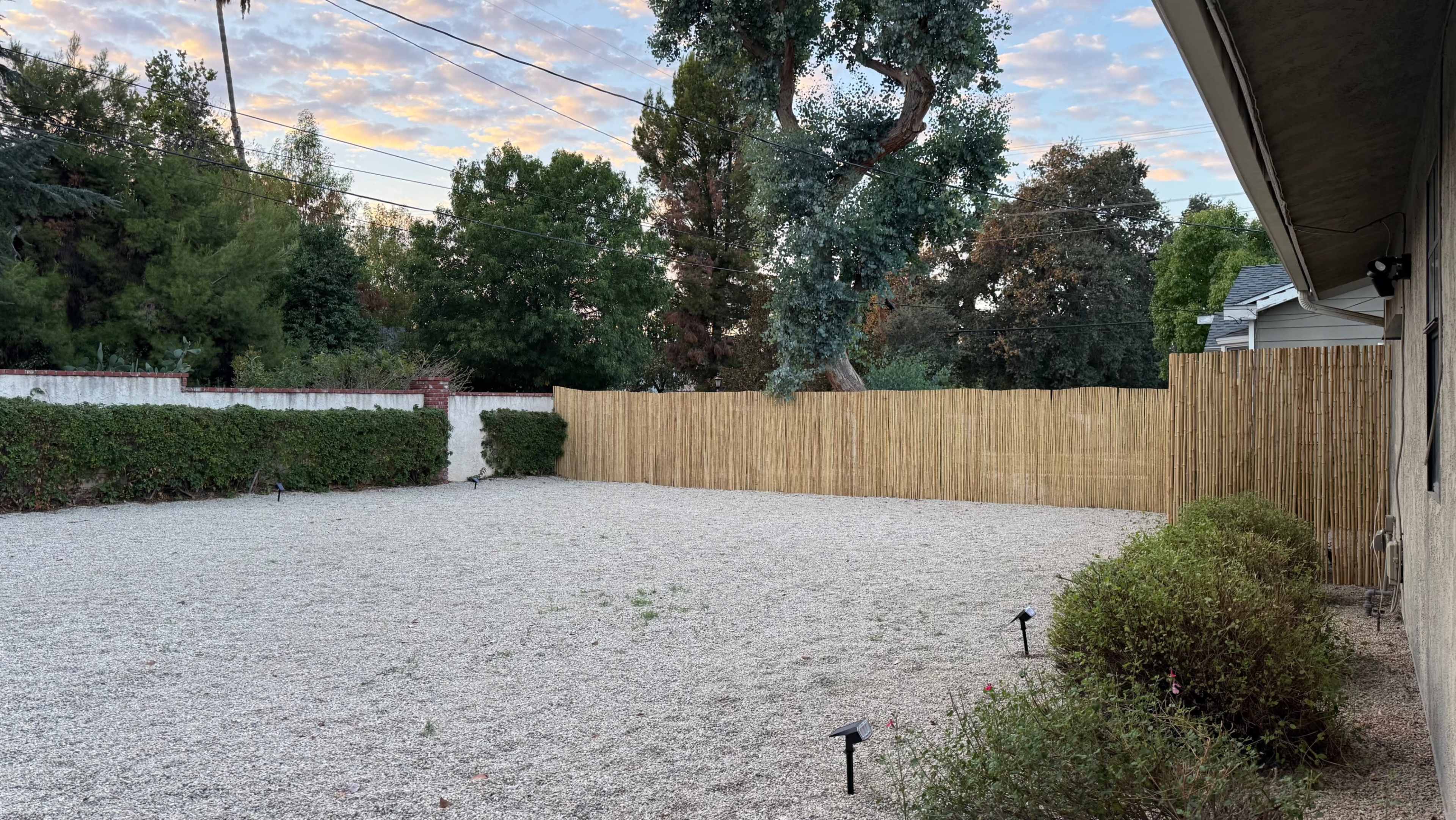 The image shows a gravel-covered backyard enclosed by a bamboo fence and bordered by low shrubs, with trees and a colorful sky in the background.