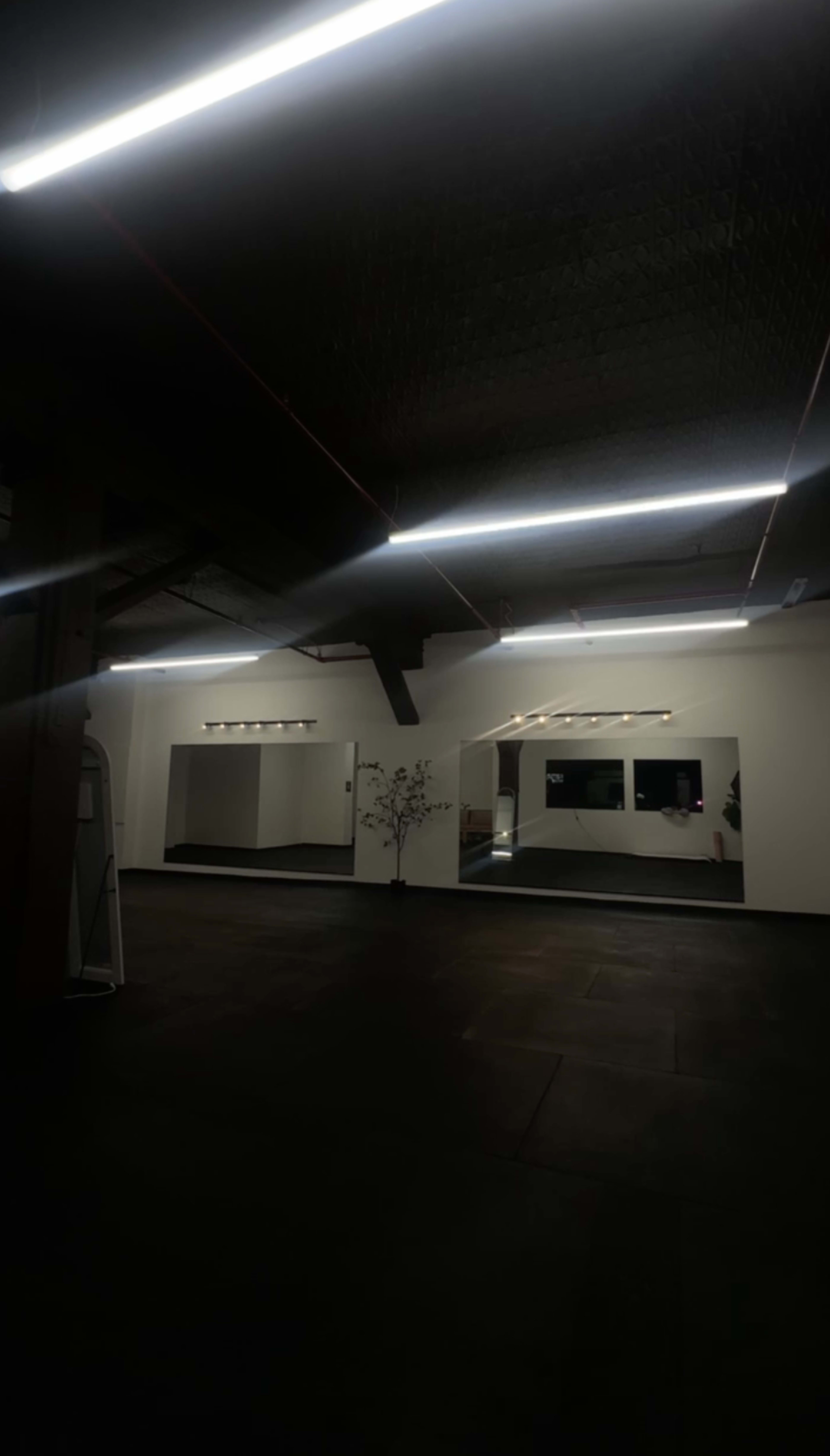 The image shows an empty room with modern lighting, mirrors, and a decorative tree in the corner.