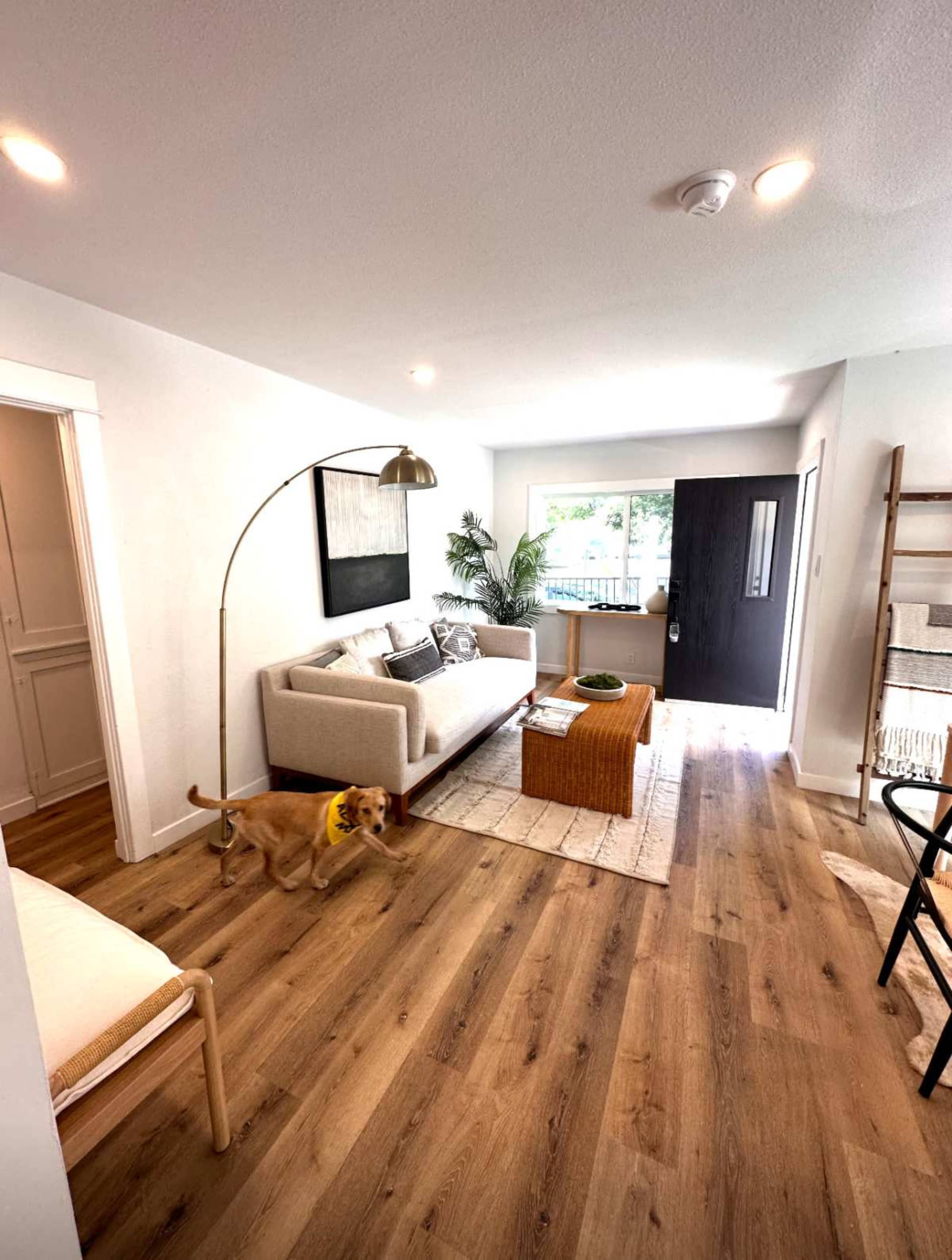 A bright living room features a light-colored sofa, a table with decorative elements, and a dog walking across the wooden floor, with a large window promoting natural light.