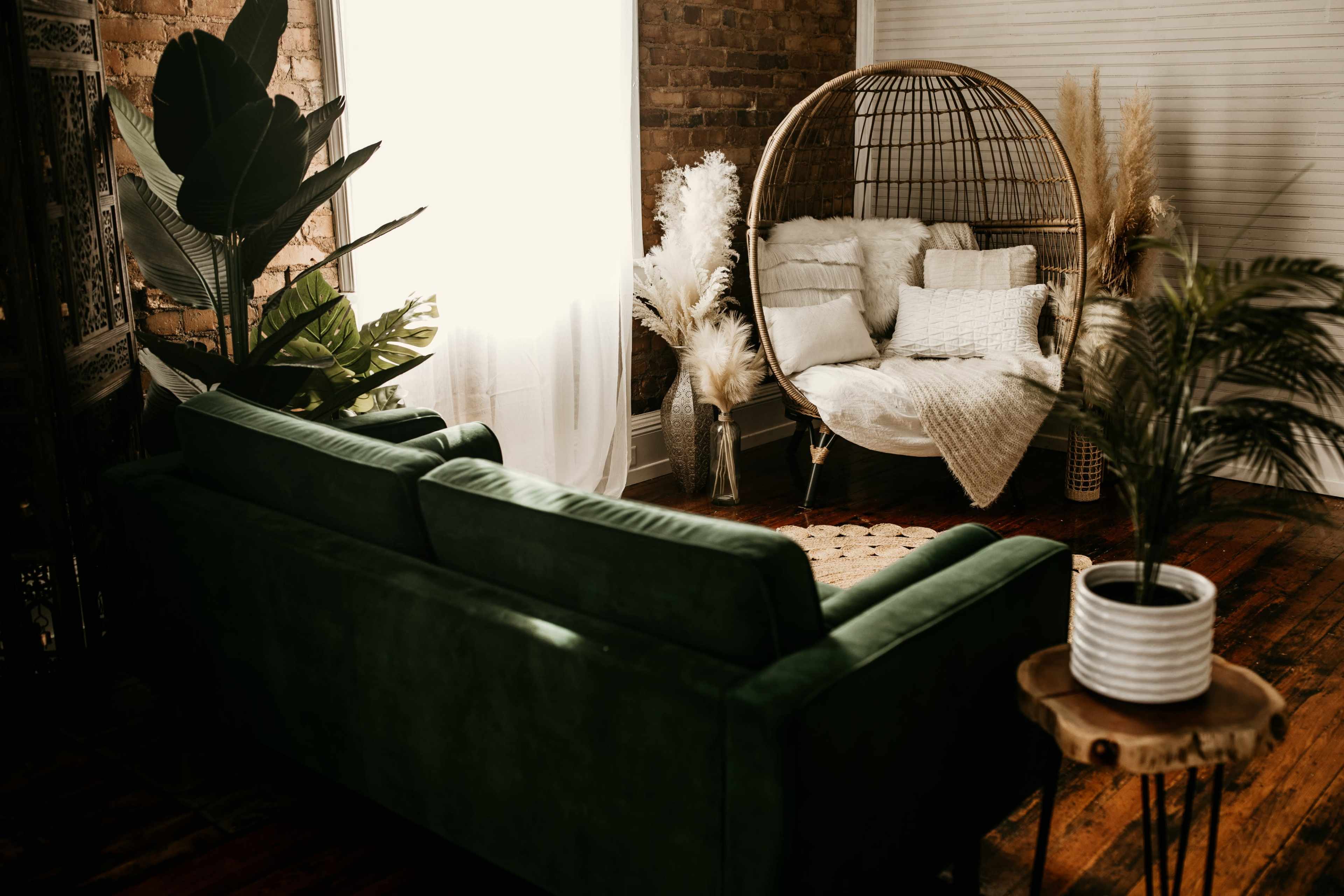 A green sofa faces a cozy seating area with a rattan chair surrounded by decorative plants and soft textiles.