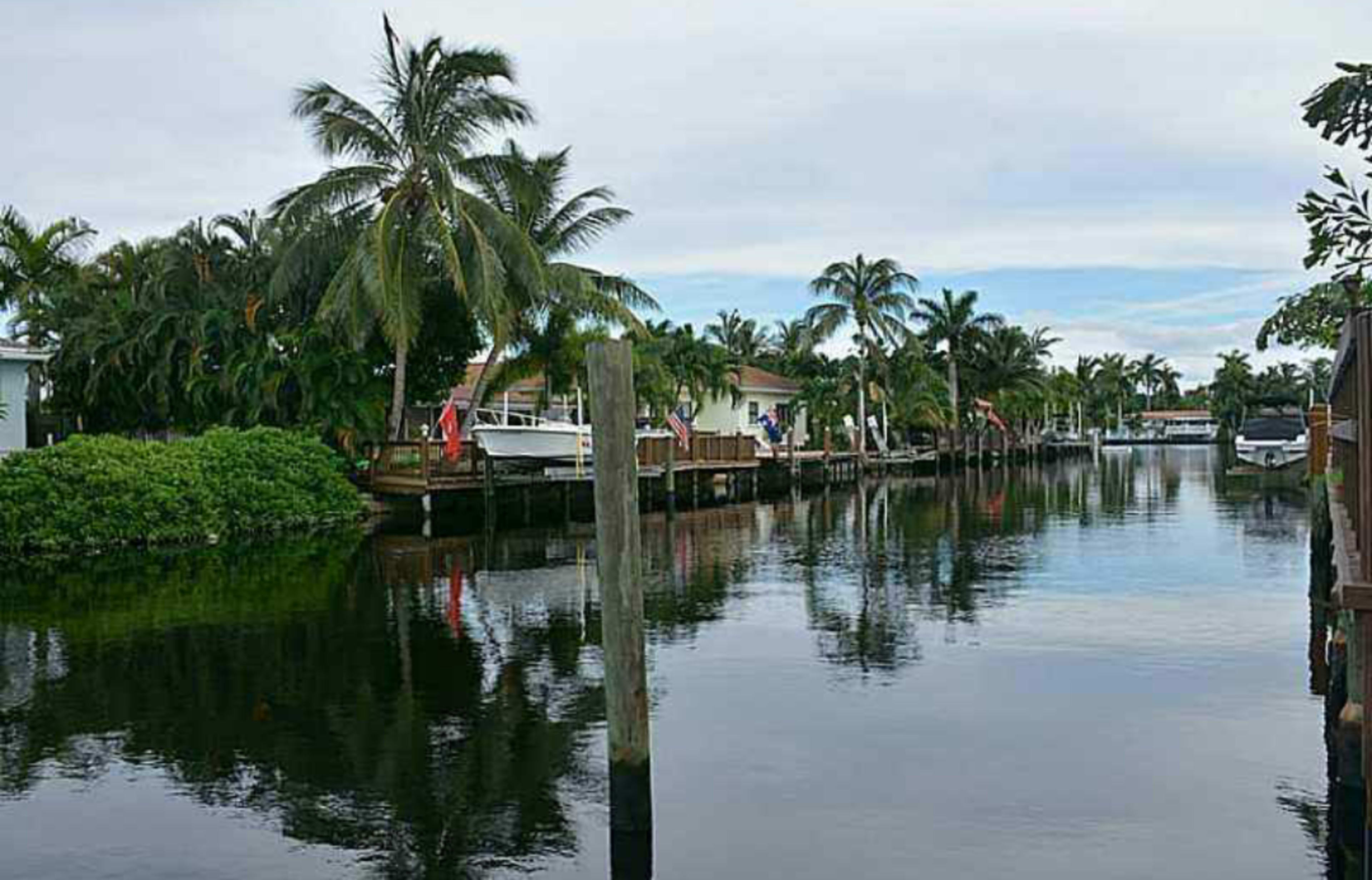 The image shows a calm waterway lined with palm trees and residential homes, reflecting the surrounding greenery.