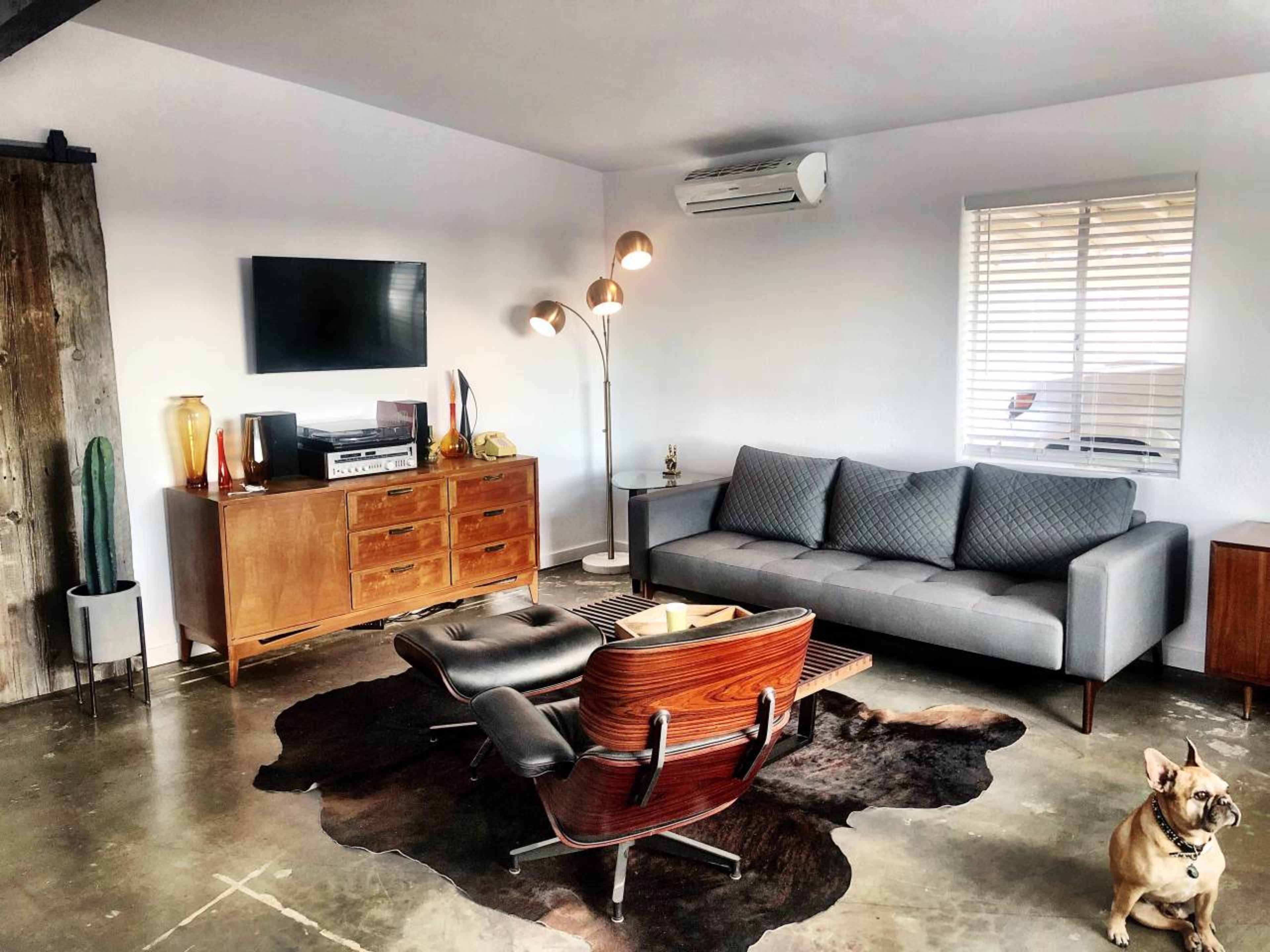 A modern living room features a gray sofa, a wooden sideboard with a television, a floor lamp, and a coffee table on a cowhide rug, alongside a dog resting on the floor.