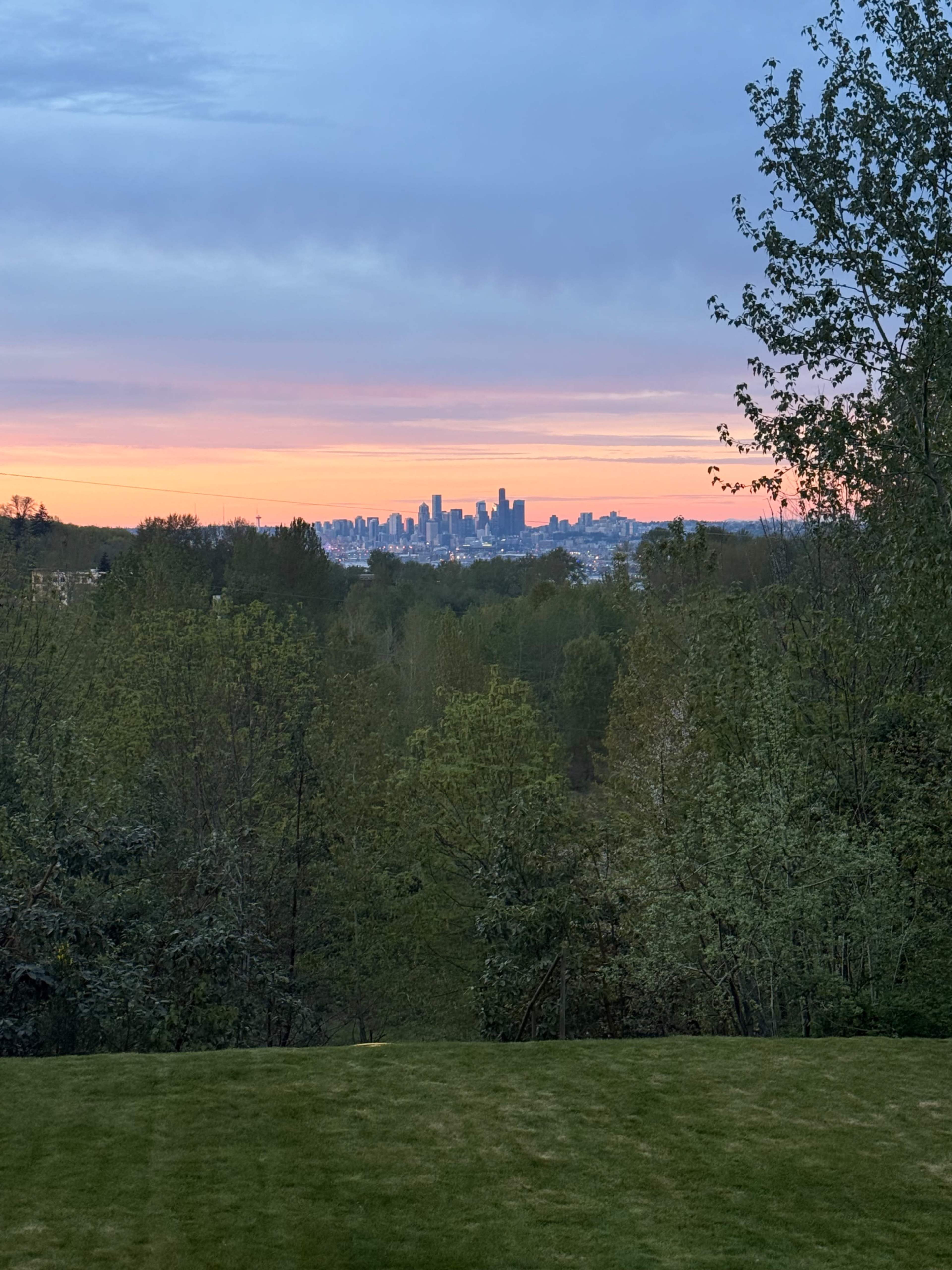 The image shows a city skyline silhouetted against a colorful sunset, framed by trees in the foreground.