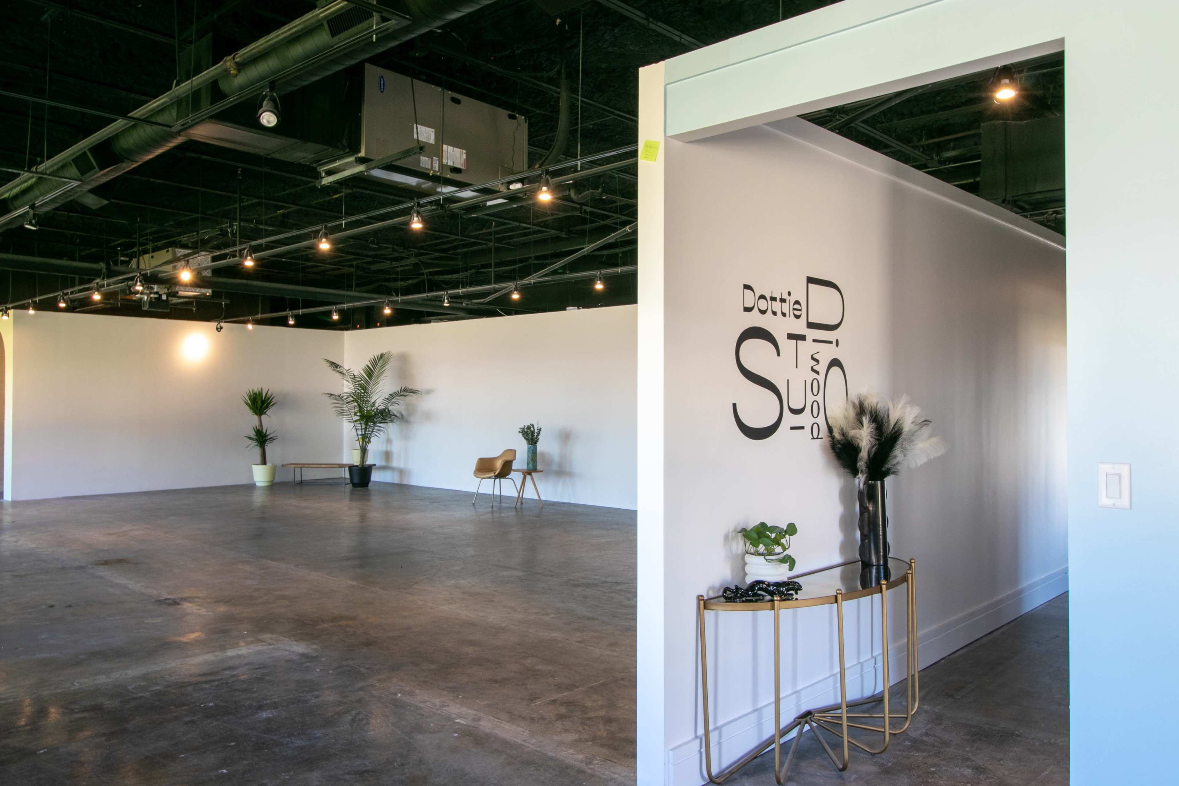 A spacious, empty interior of a studio with white walls, modern lighting, and minimal furnishings including a chair and decorative plants.