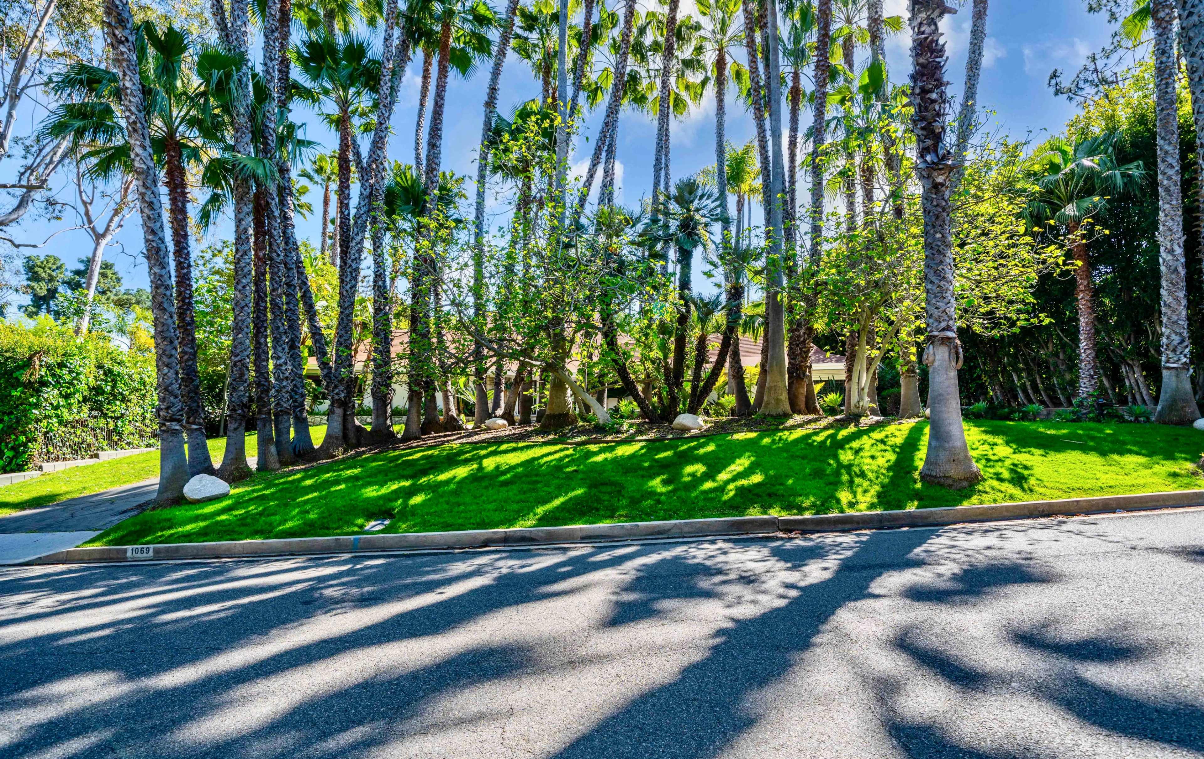 Vintage Hollywood Vibes – Secluded Palm-Lined Mid-Century Pool Oasis Wrapped In Lush Greenery – A Filmmaker’s Dream! Image in Beverly Hills, Beverly Hills, CA