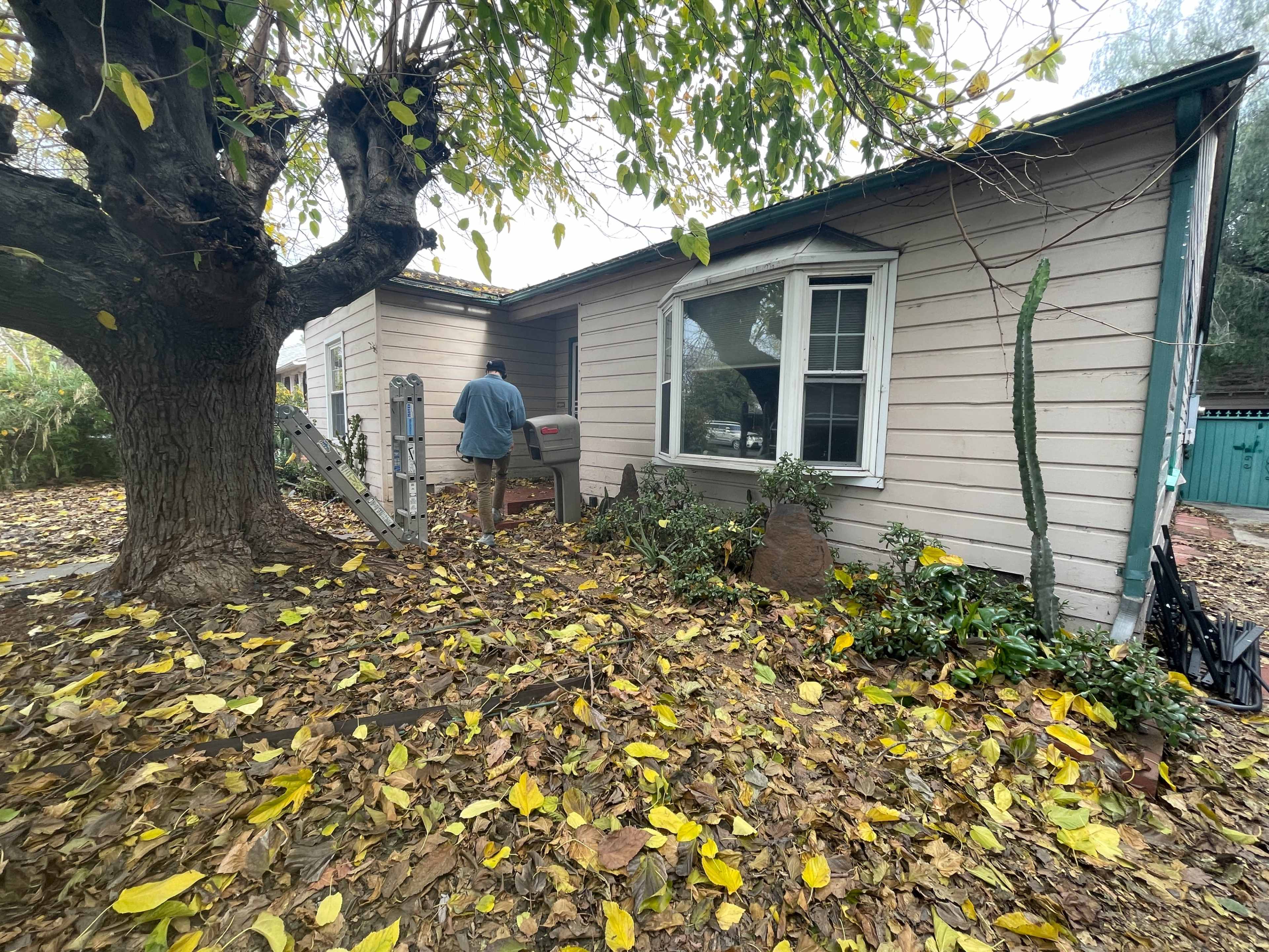 A person stands near the back of a house surrounded by a yard covered in fallen yellow leaves.