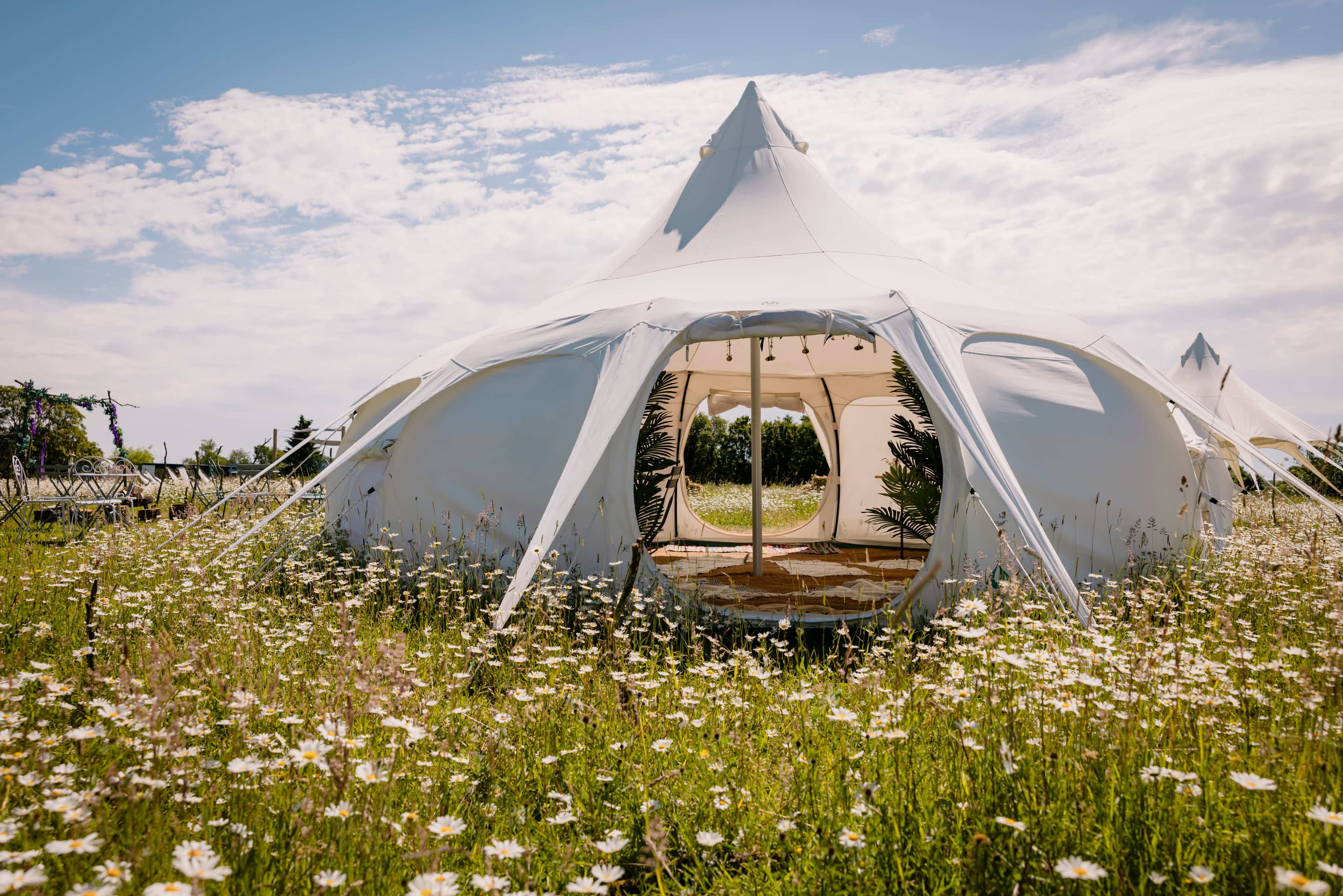 A white tent with a pointed roof is set amidst a field of wildflowers under a blue sky.