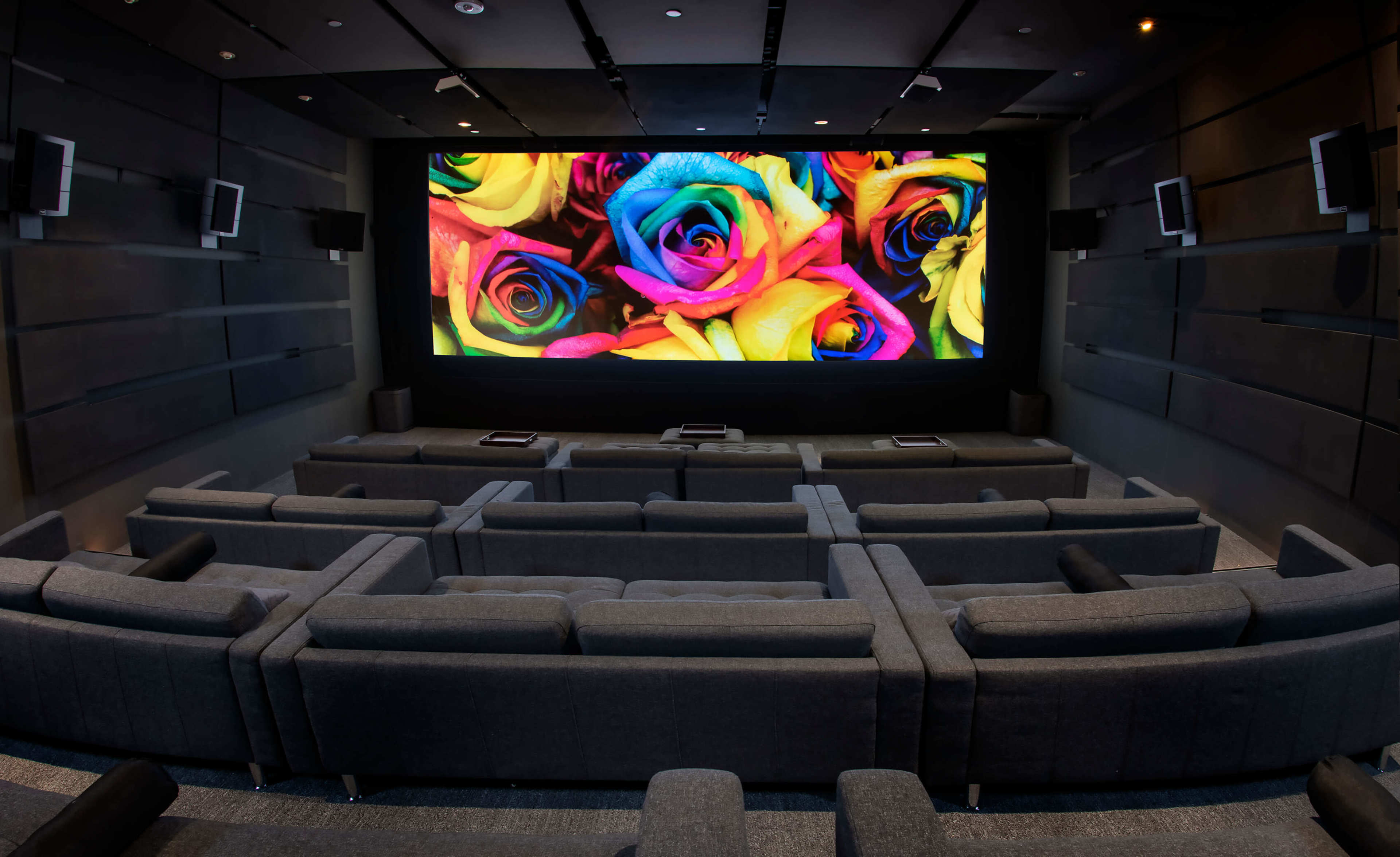 The image shows a modern theater room with dark seating facing a large screen displaying vibrant, multicolored roses.