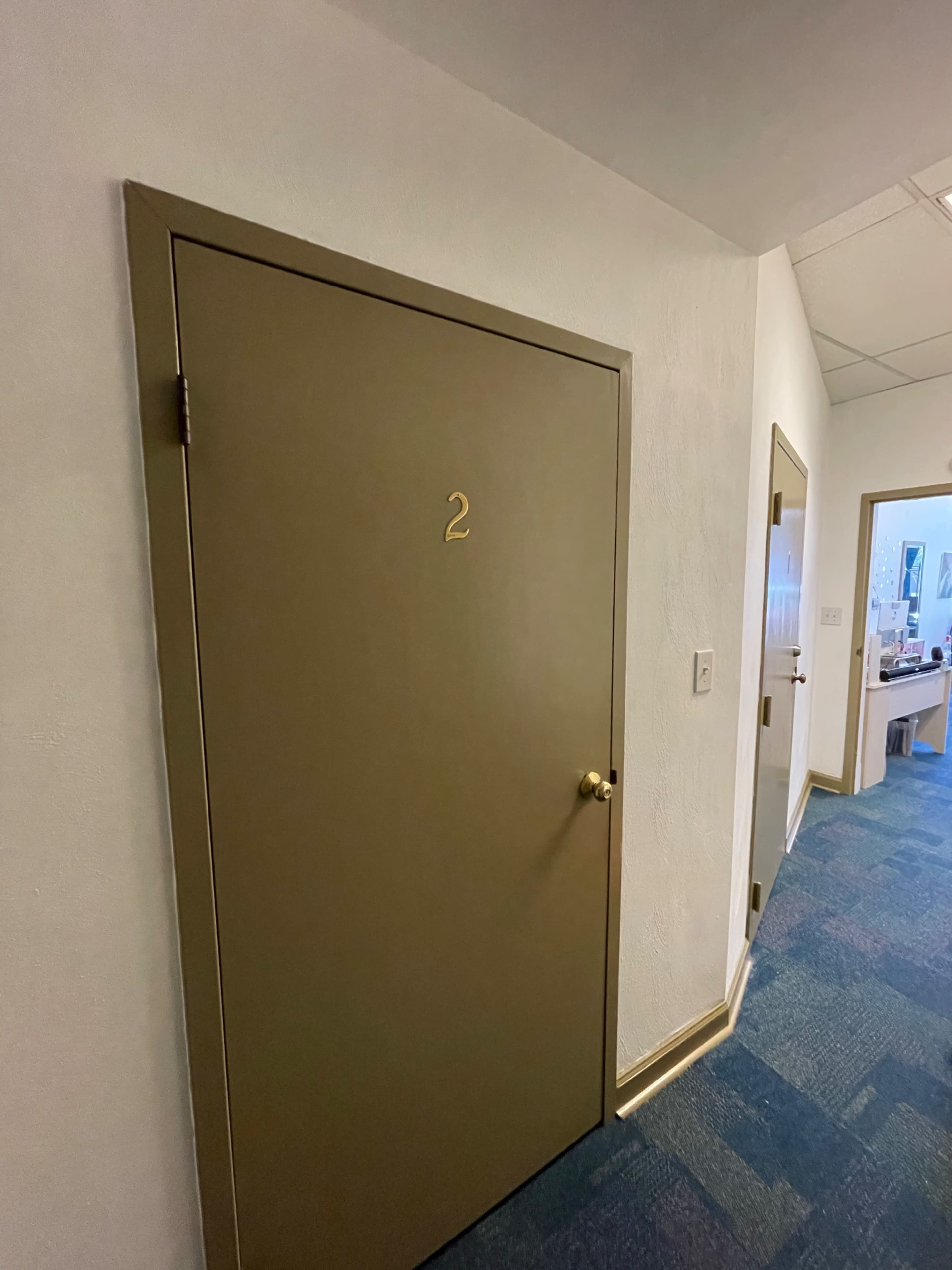 A brown door with the number "2" is located along a hallway with blue carpet and another white door in the background.