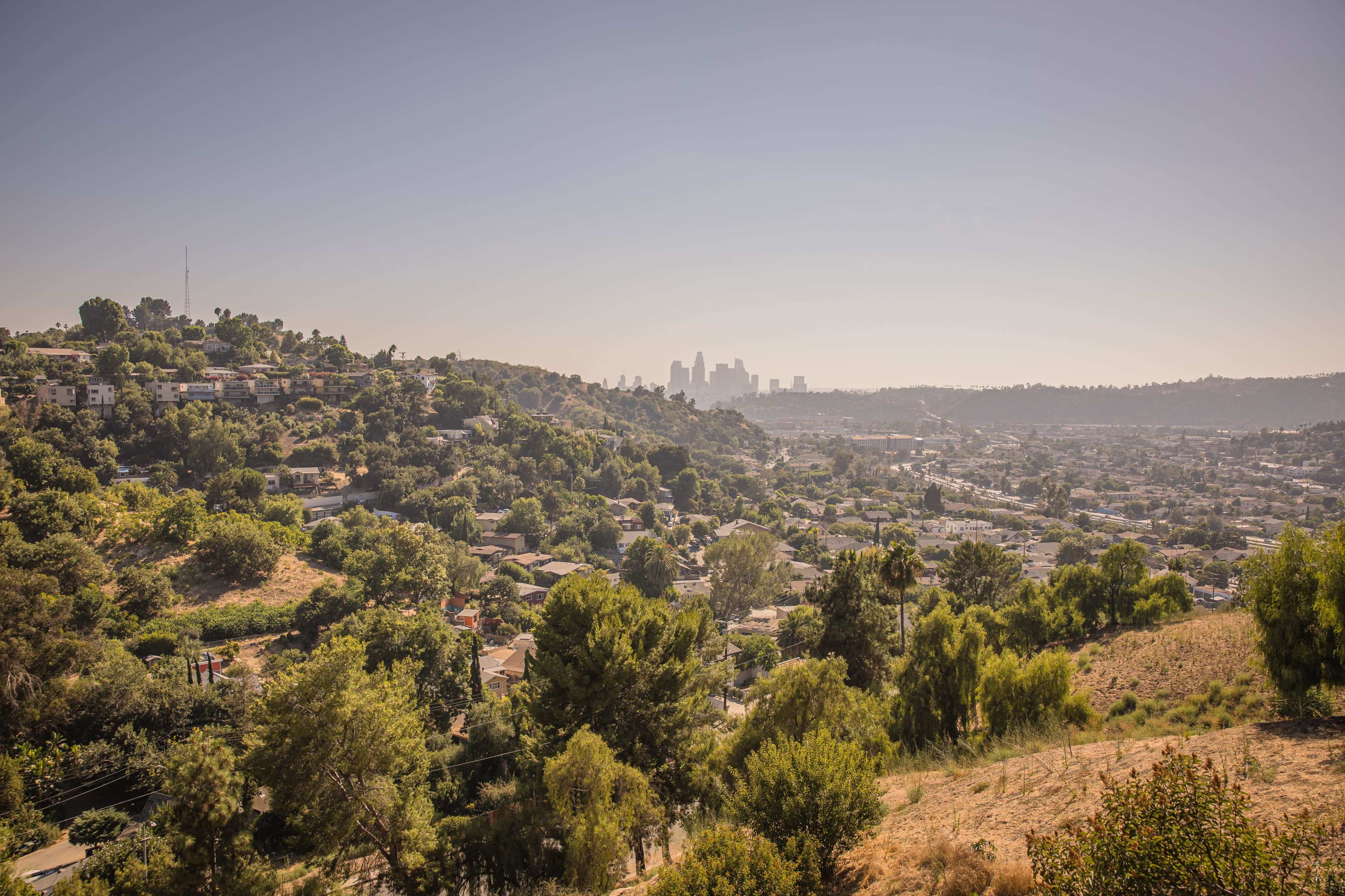 A view of a hillside filled with vegetation overlooking a suburban neighborhood and the skyline of a city in the distance.