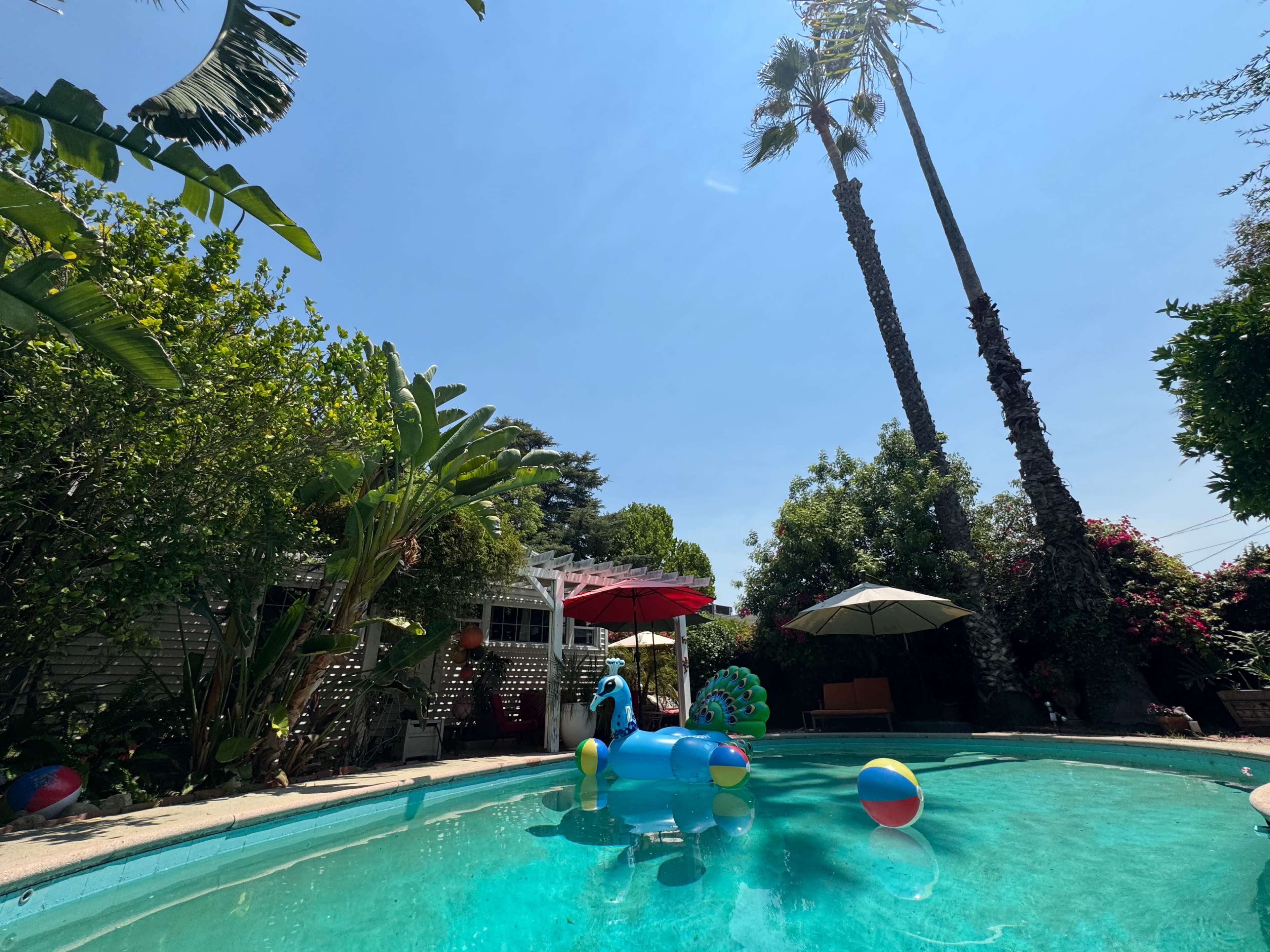 The Classic Pool Oasis in the Valley Image in Sherman Oaks, Sherman oaks, CA