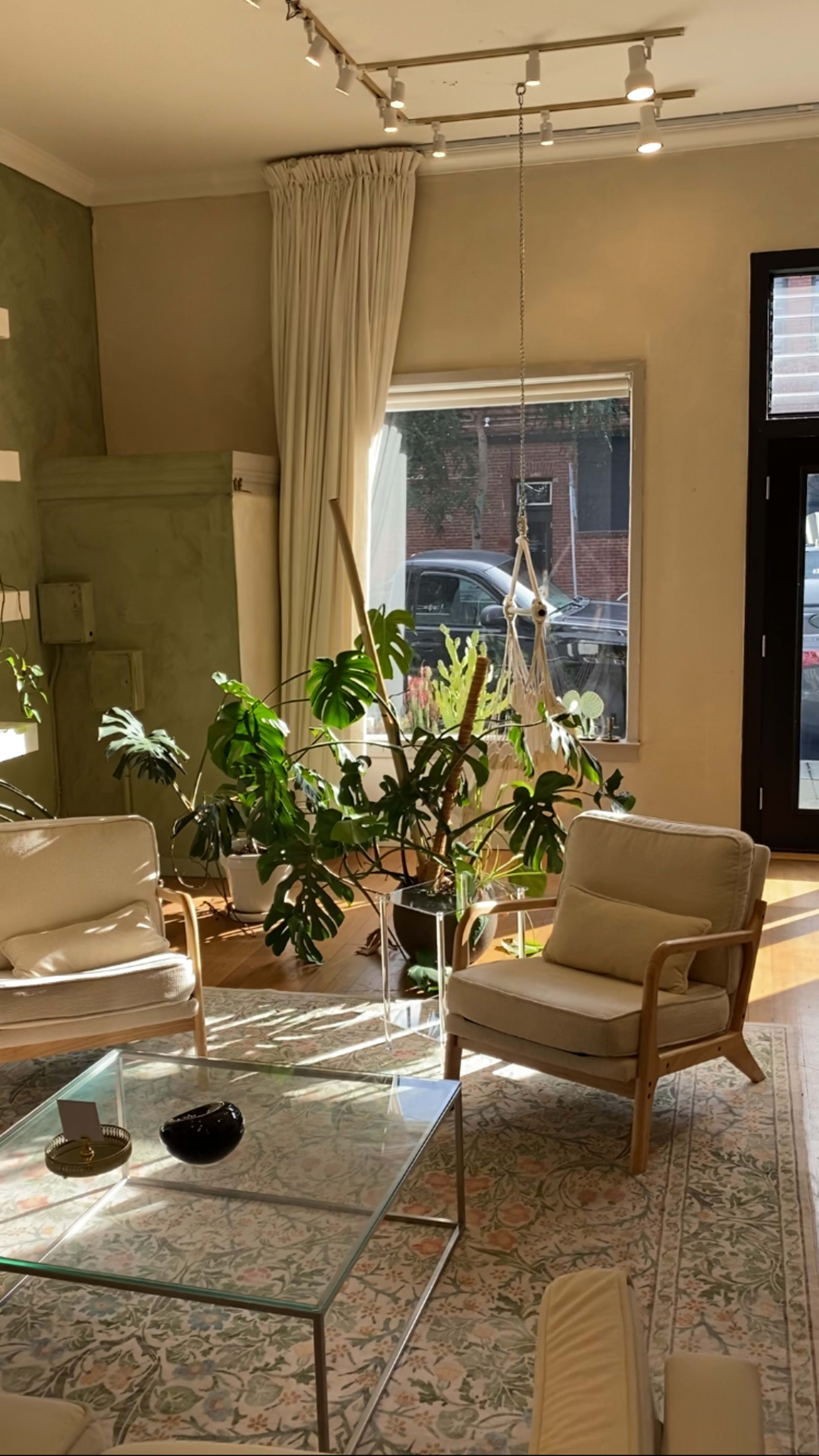A sunlit room features a glass coffee table, two cream-colored armchairs, and large houseplants near a window.
