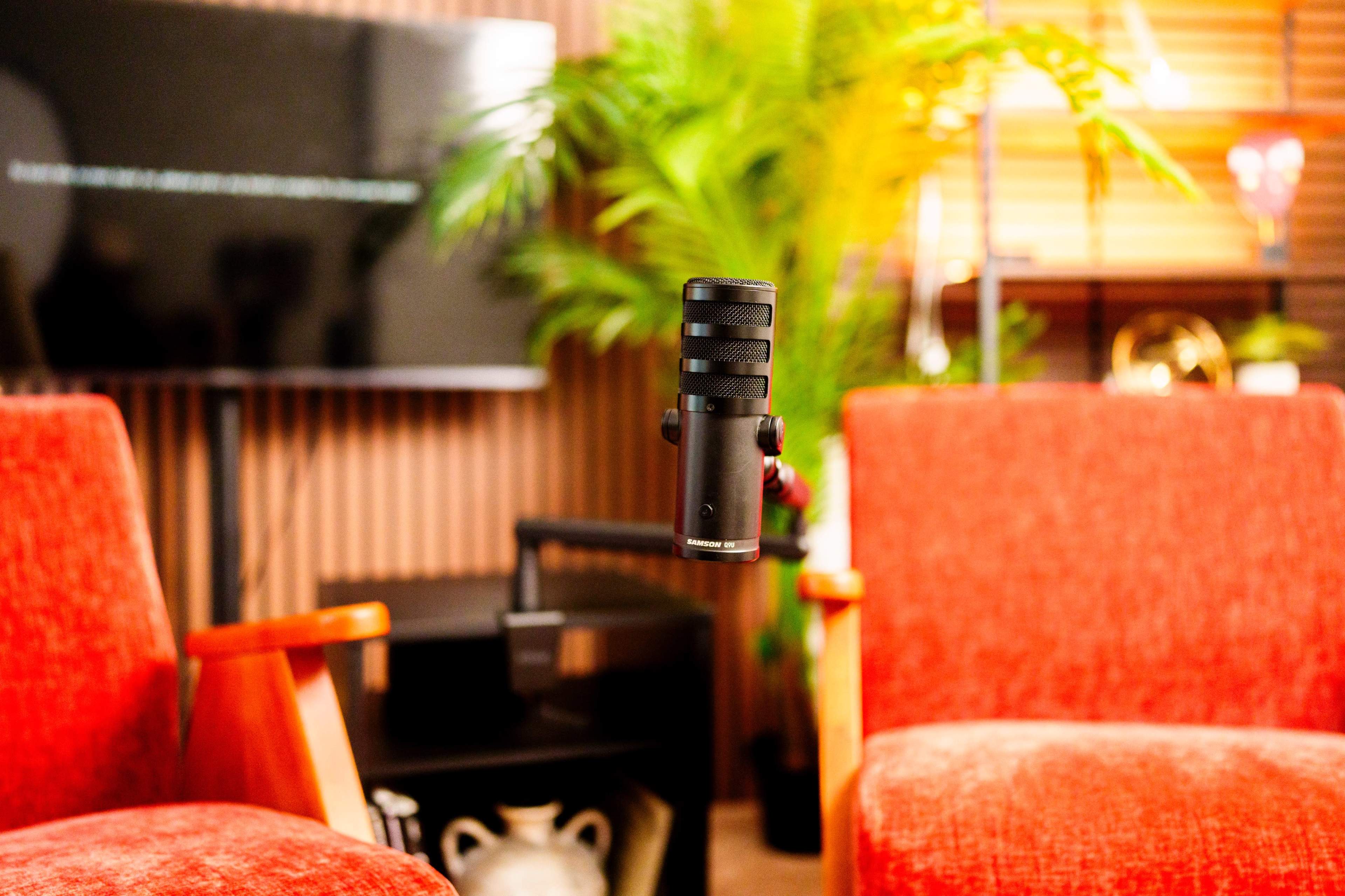 A premium, acoustically treated space designed for creators, interviews, and brand contents Image in Milford, Milford, DE