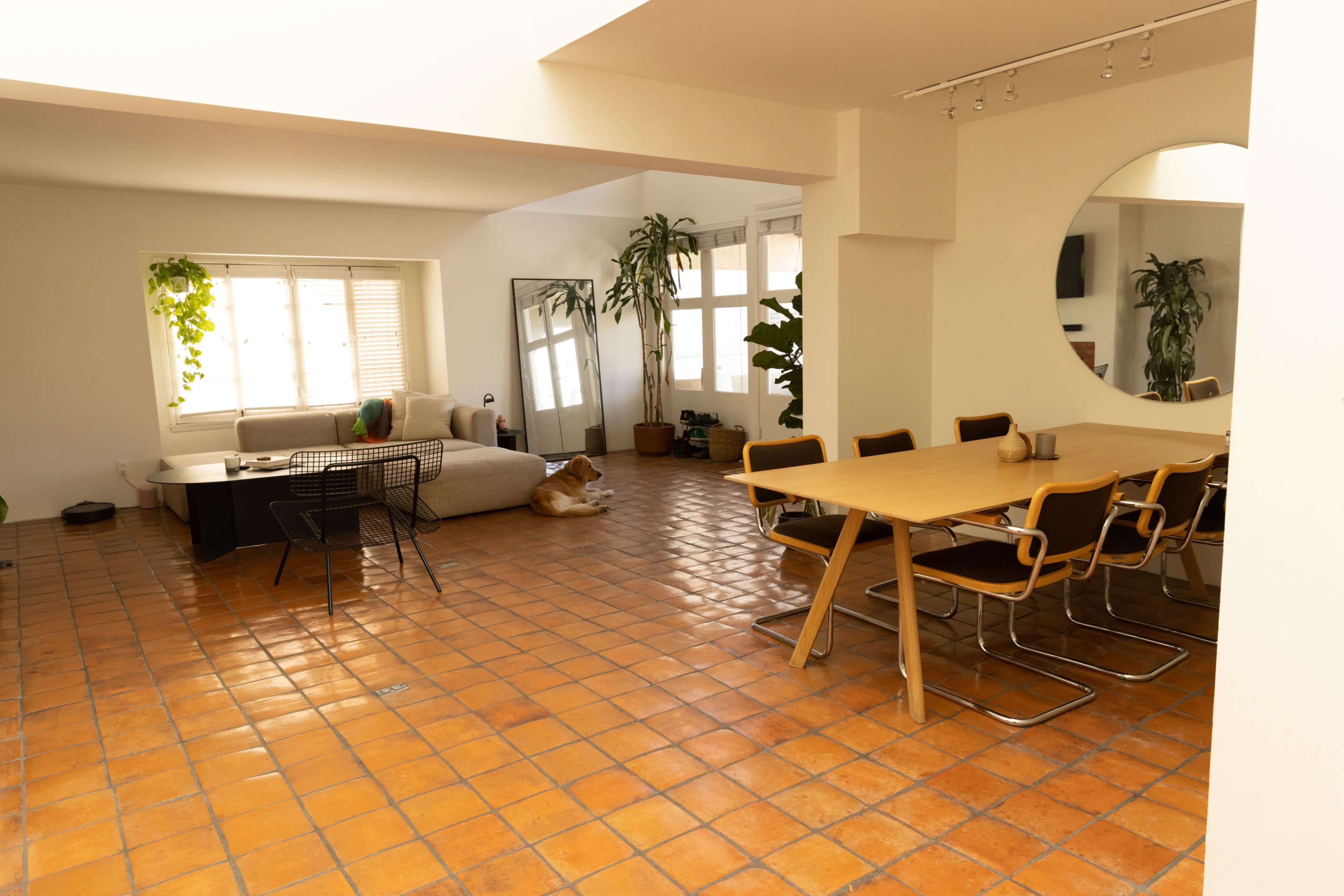 A spacious, open-plan living area with a tan tiled floor, a sectional sofa, a dining table with chairs, and several indoor plants.