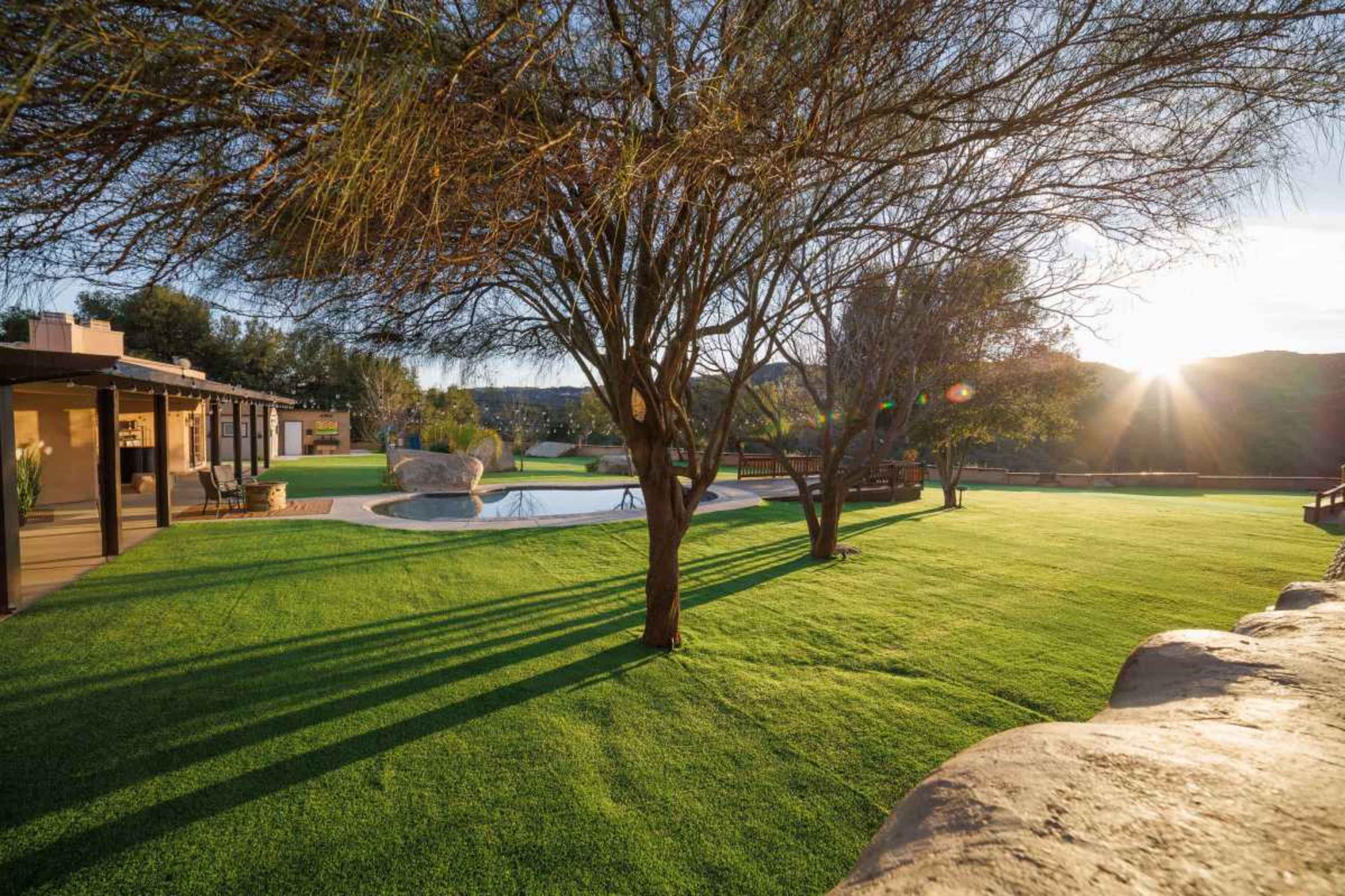 The image depicts a landscaped yard with artificial turf, two trees, a pool, and a setting sun in the background.