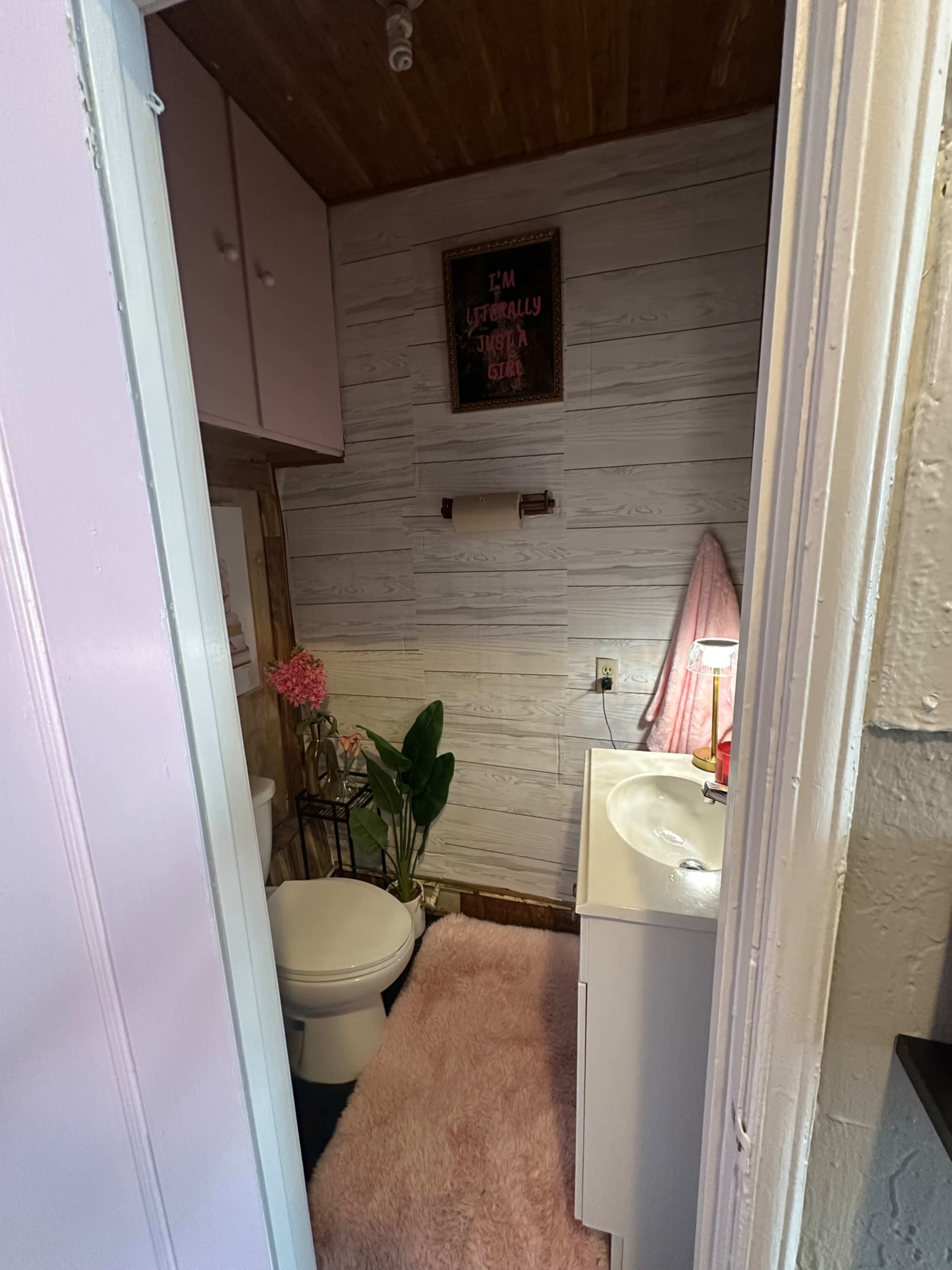 A small bathroom features a toilet, a vanity with a sink, and decorative items including a plant and a pink rug.