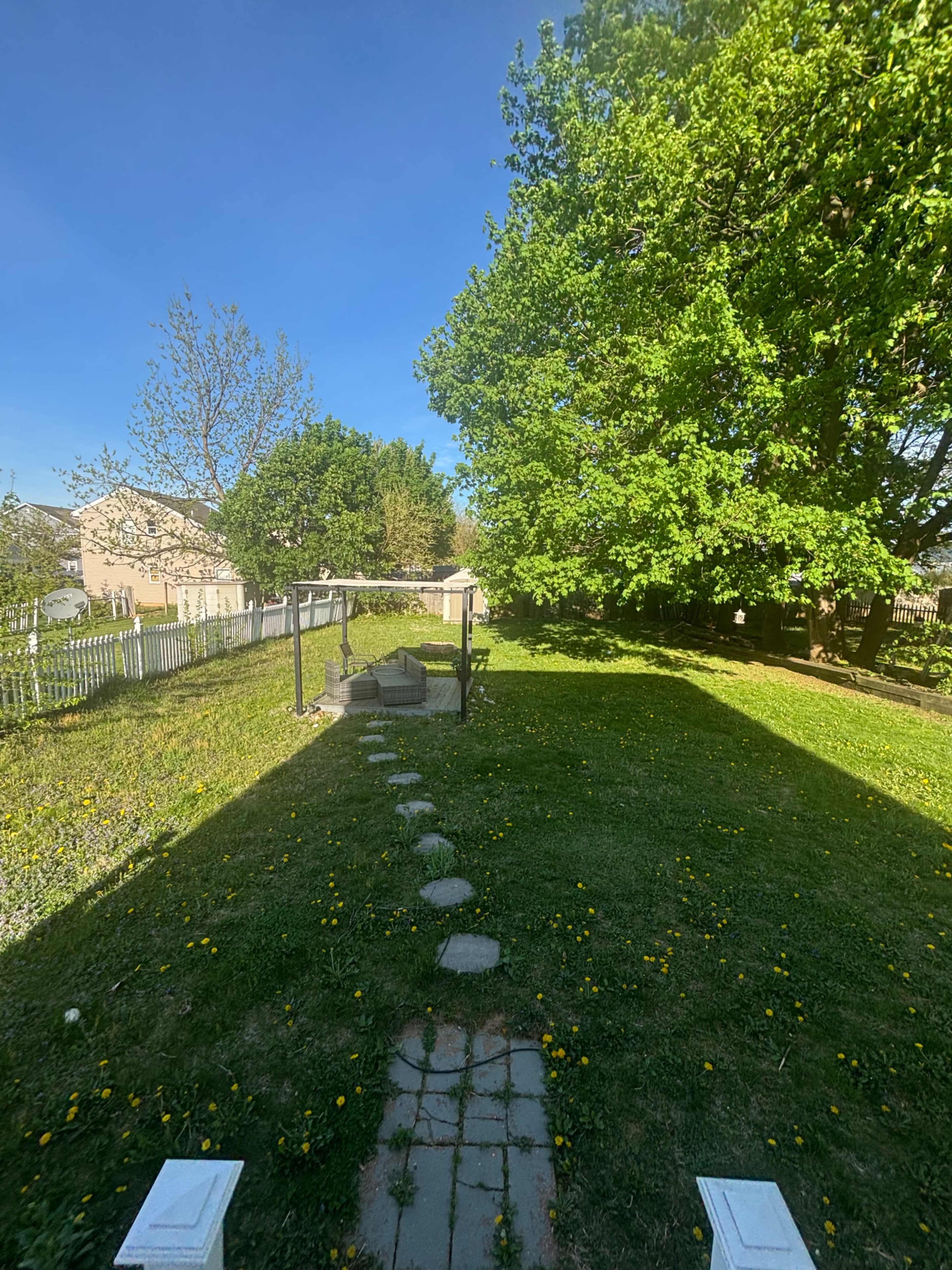 Urban/Suburban Very large private yard with lots of natural light and beautiful trees. Image in South Side, Easton, PA