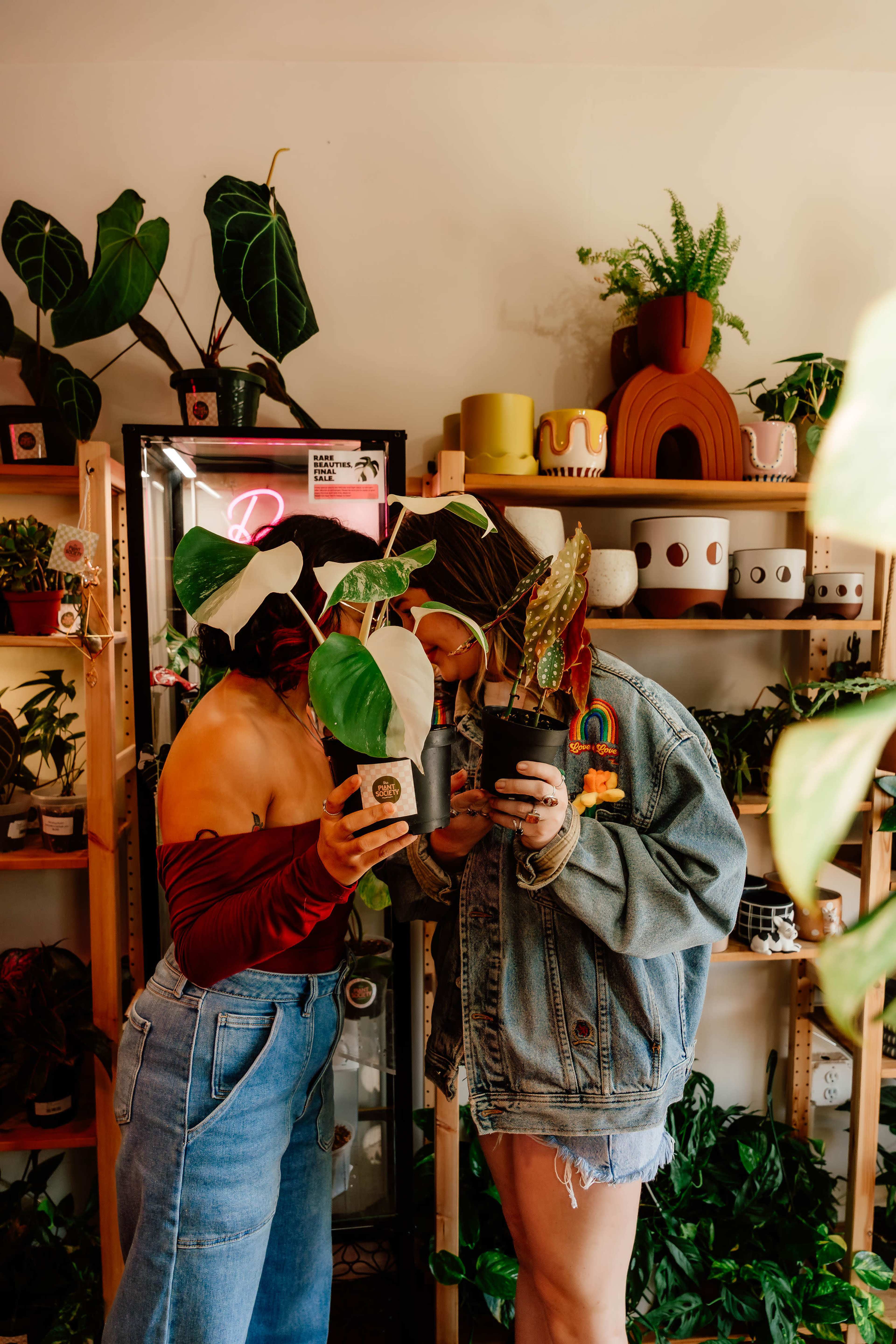 Two people are holding potted plants while leaning toward each other in a room filled with various indoor plants and decorative items.