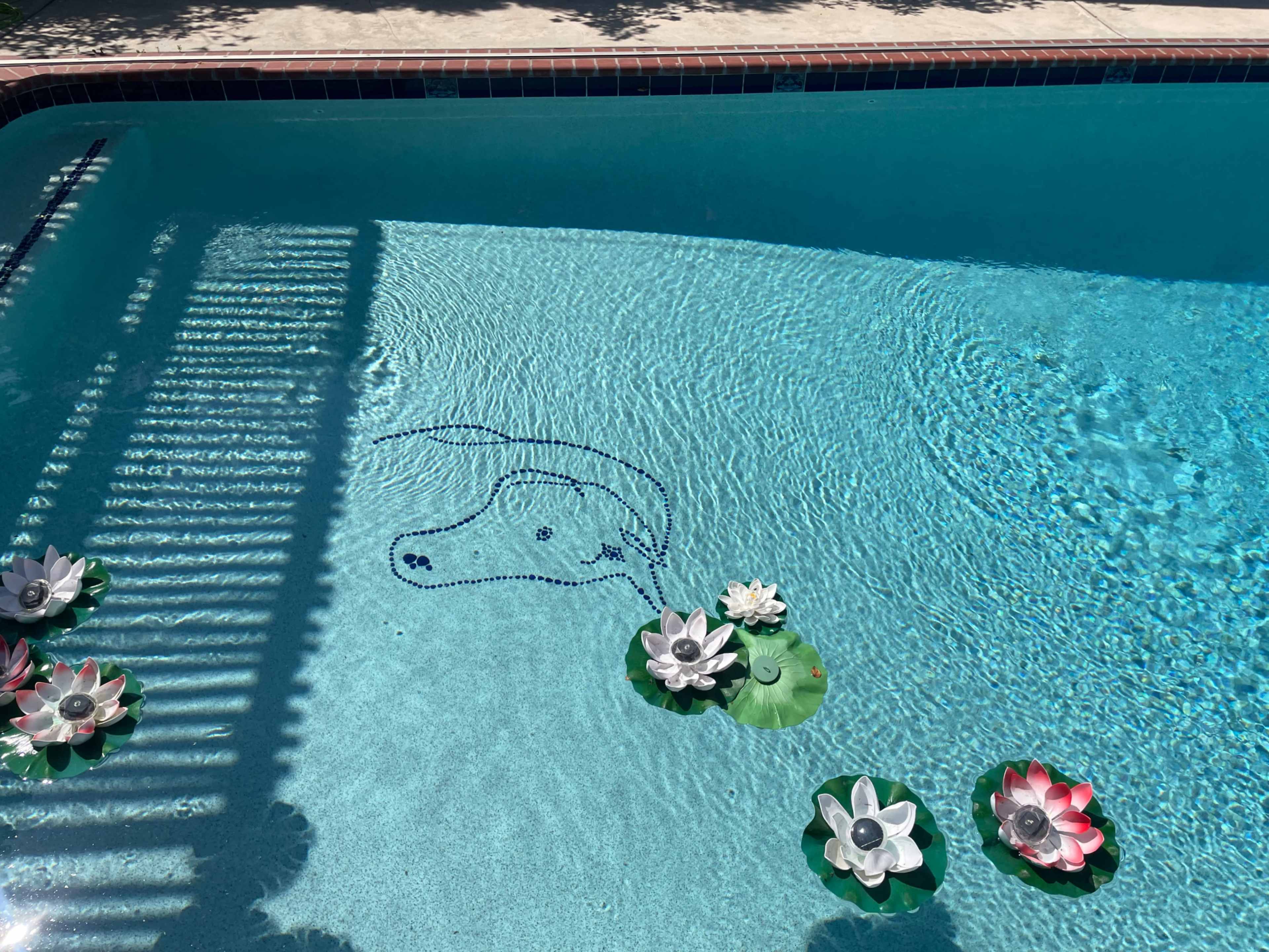 The image shows a swimming pool with a mosaic design of a dog’s head on the bottom and decorative artificial flowers floating on the surface.