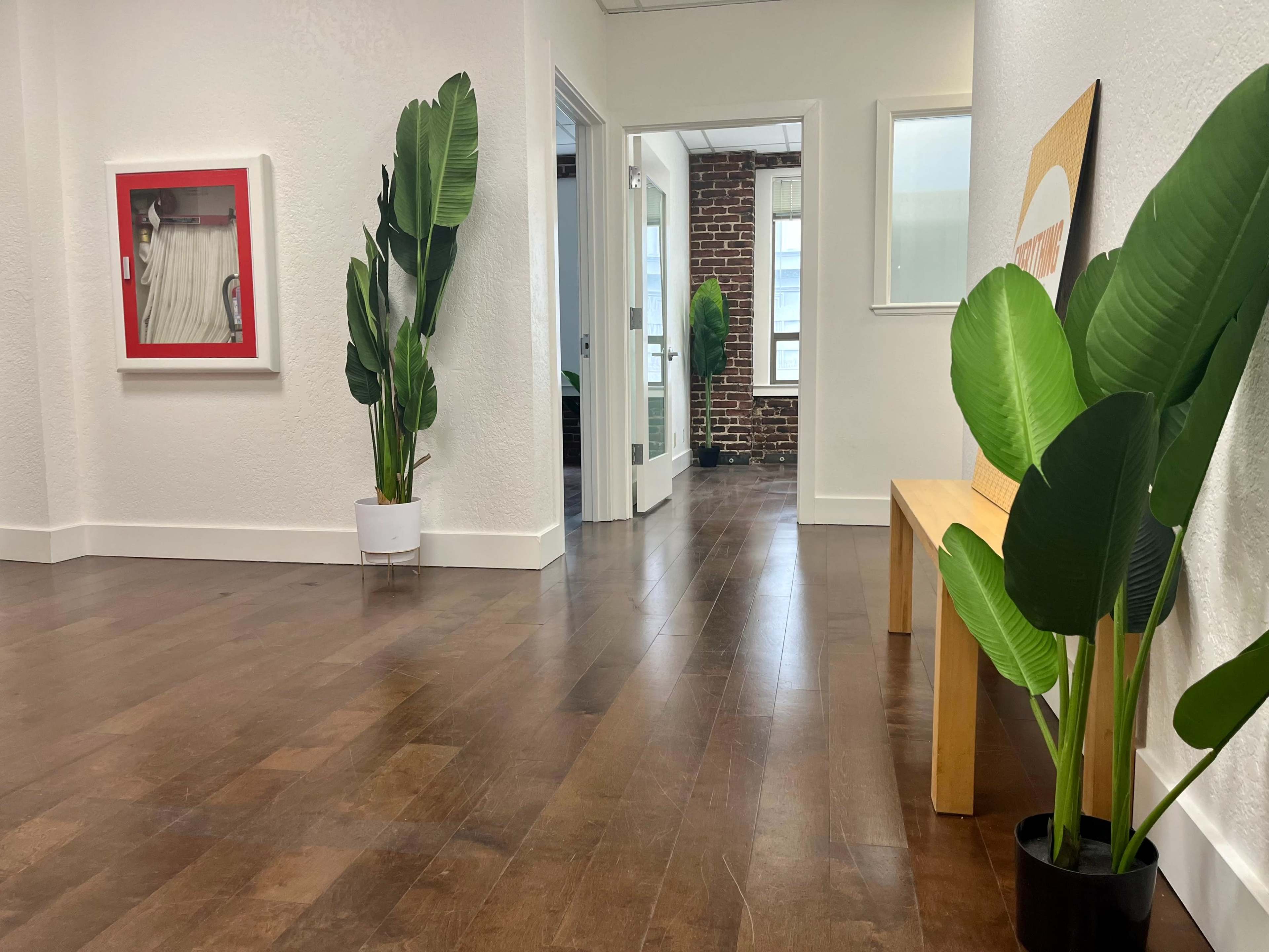 A bright hallway with wooden flooring, potted plants, and framed artwork on the walls.
