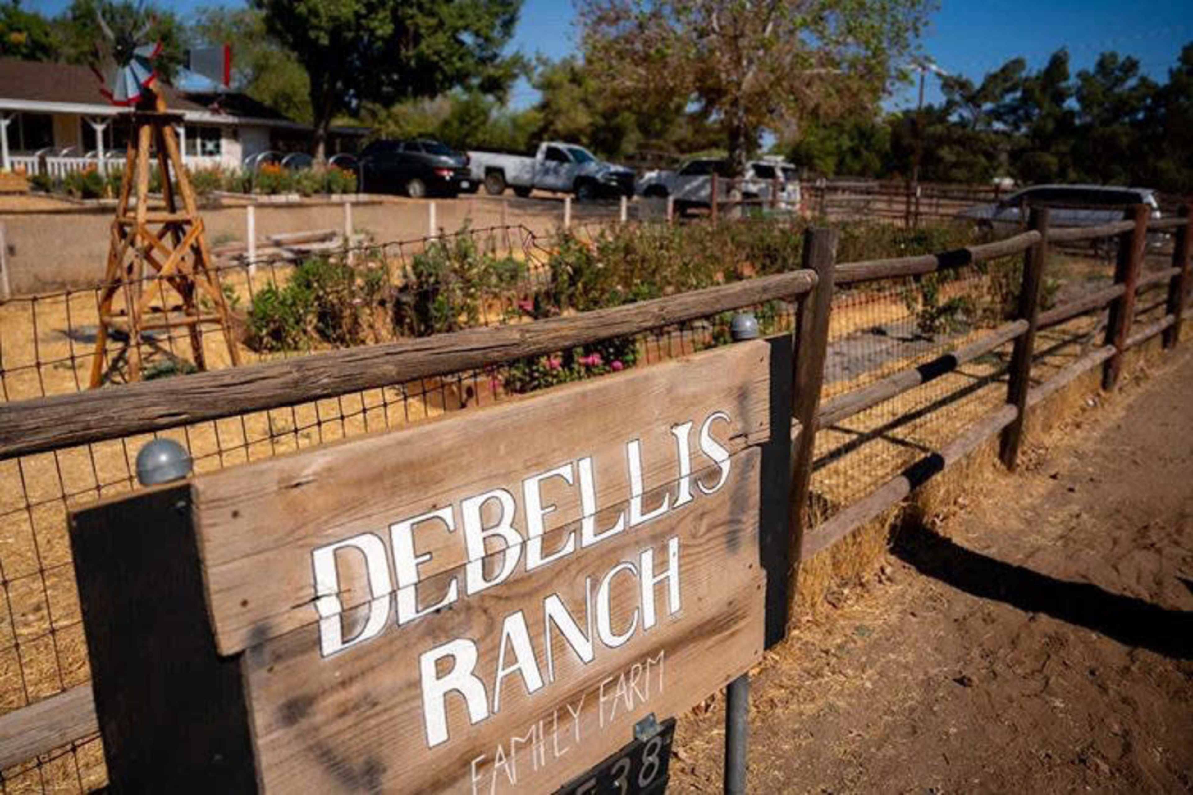 The image shows a wooden sign that reads "Debellis Ranch Family Farm" in front of a fenced agricultural area with a windmill and houses in the background.