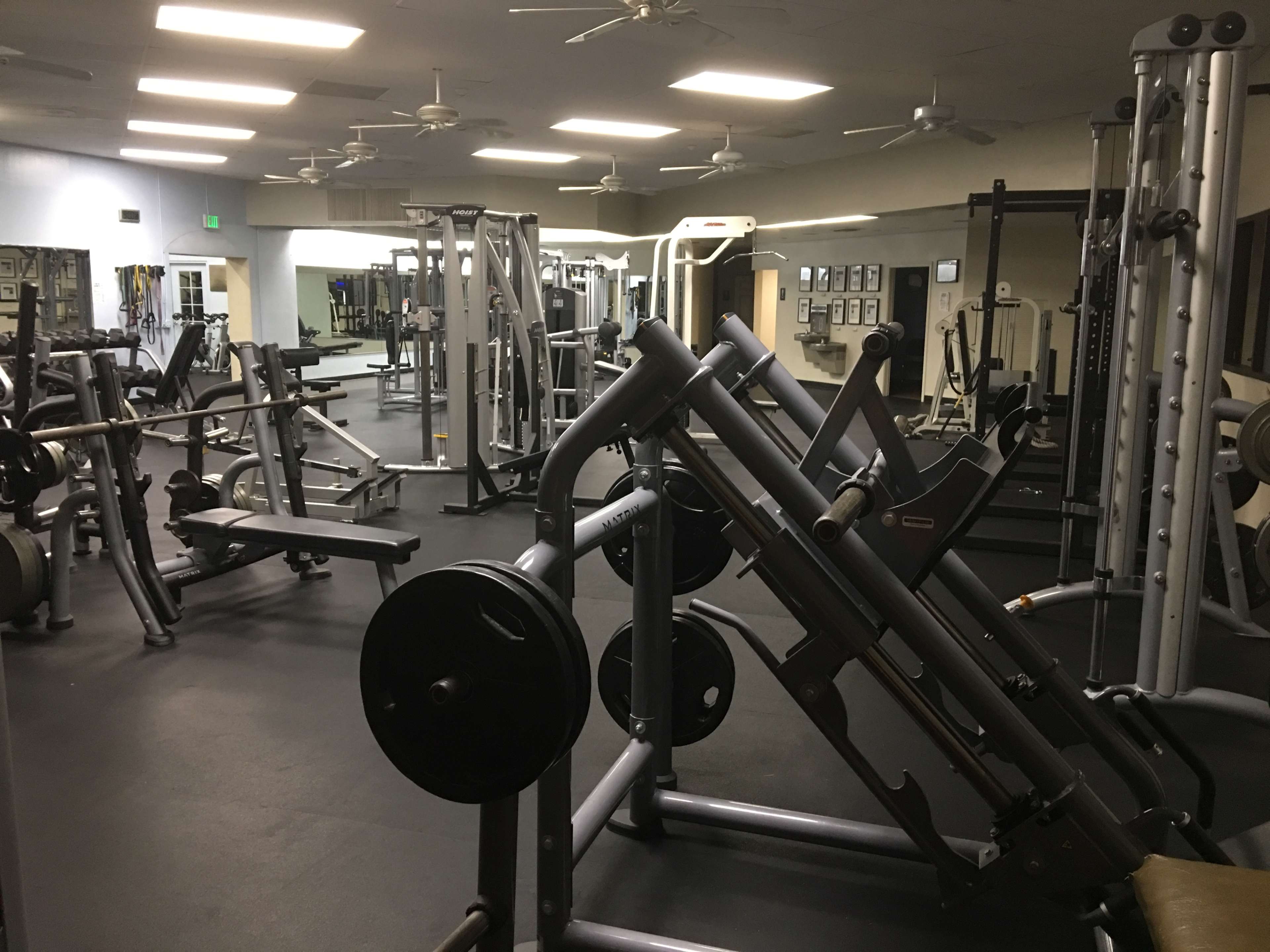 A spacious gym filled with various weightlifting equipment and machines arranged in a grid pattern.