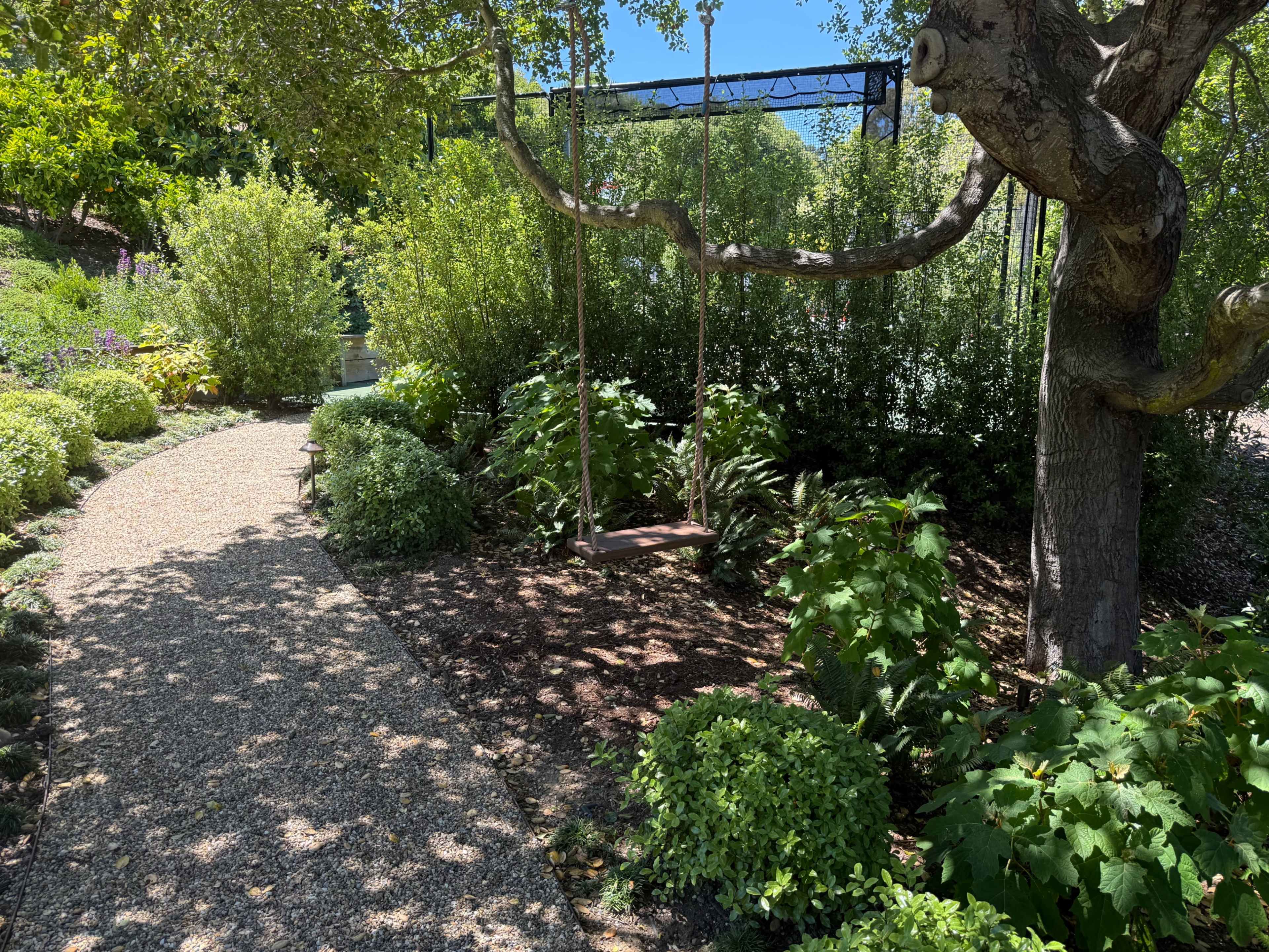 A wooden swing hangs from a tree branch next to a gravel pathway surrounded by lush greenery.