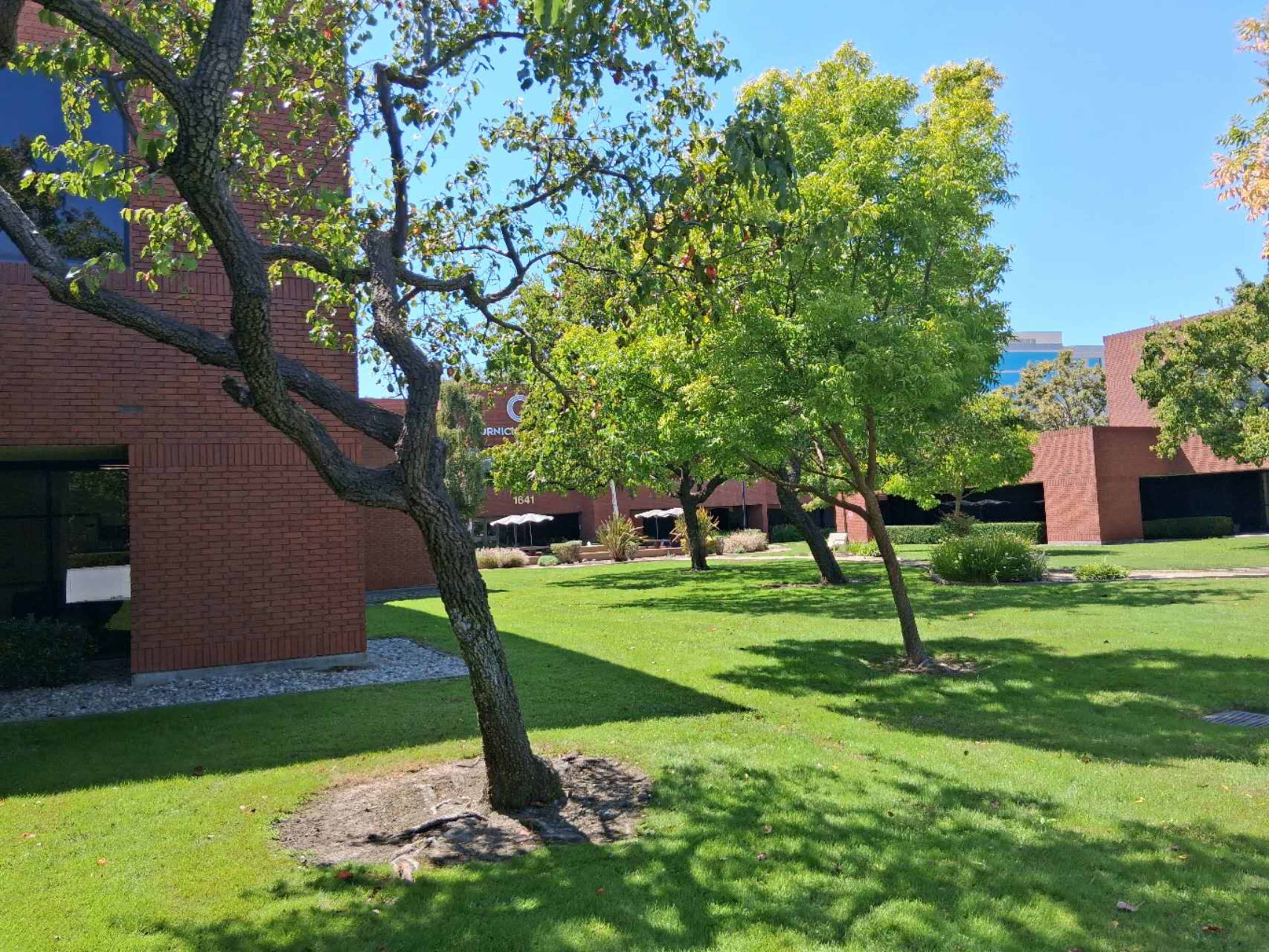 Quiet, spacious, and well-lit meeting room in downtown San Jose, ideal for 11-15 people Image in Rosemary, San Jose, CA