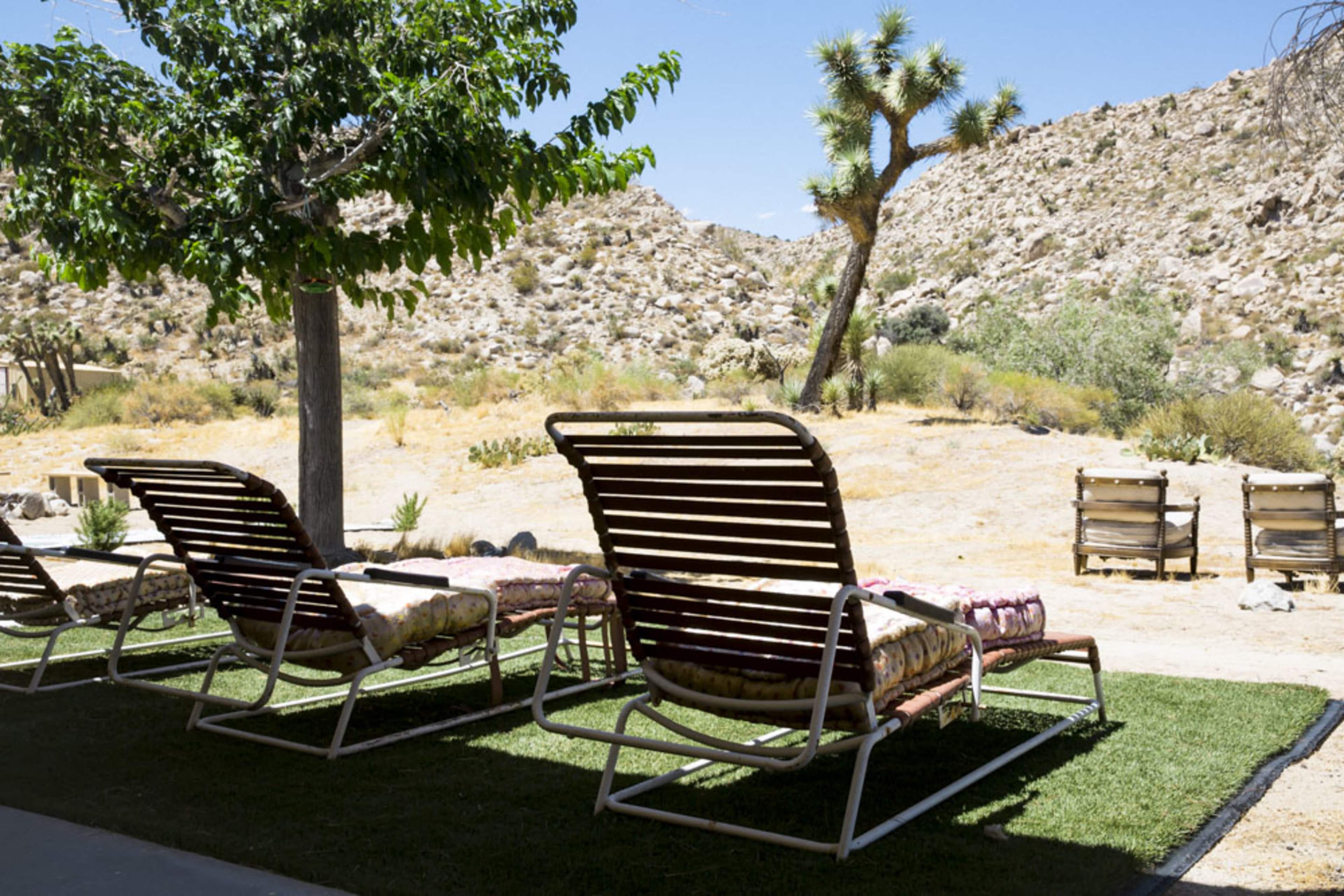 Lounge chairs are arranged on a green lawn, facing a desert landscape with sparse vegetation and rocky hills.