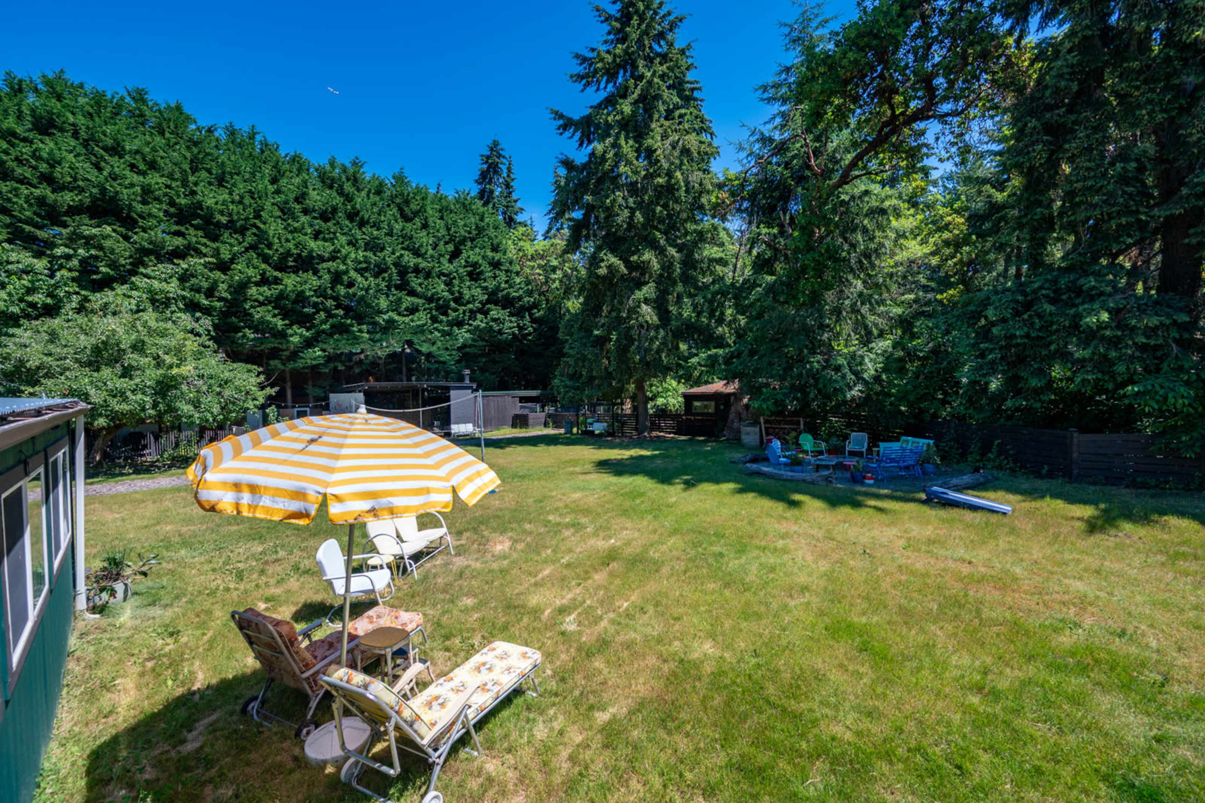 The image shows a grassy yard with lounge chairs and a striped umbrella, surrounded by dense trees and a fenced area in the background.