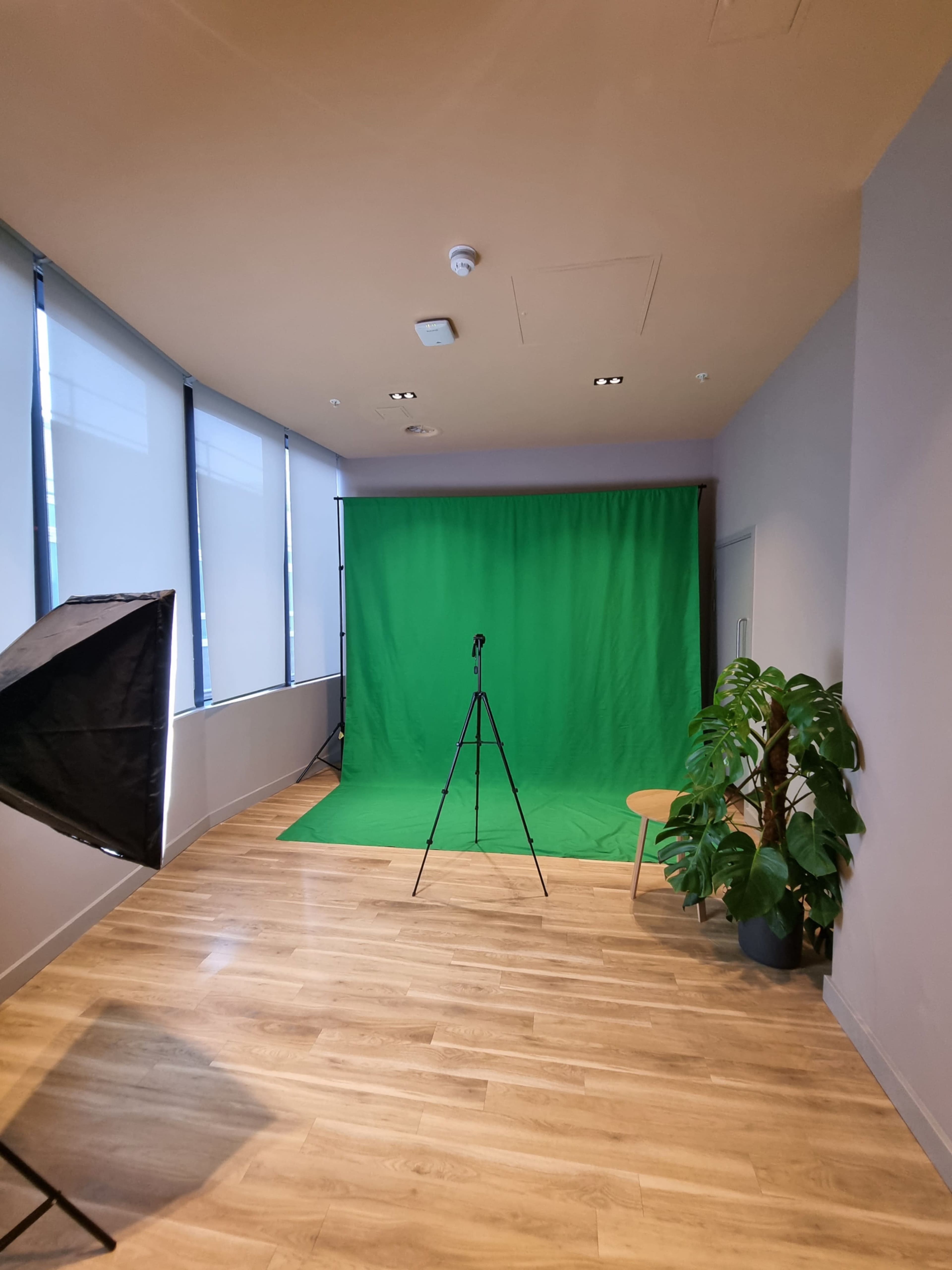 A photography studio features a green backdrop, a tripod with a microphone stand, a light umbrella, and a potted plant in a well-lit room with large windows.