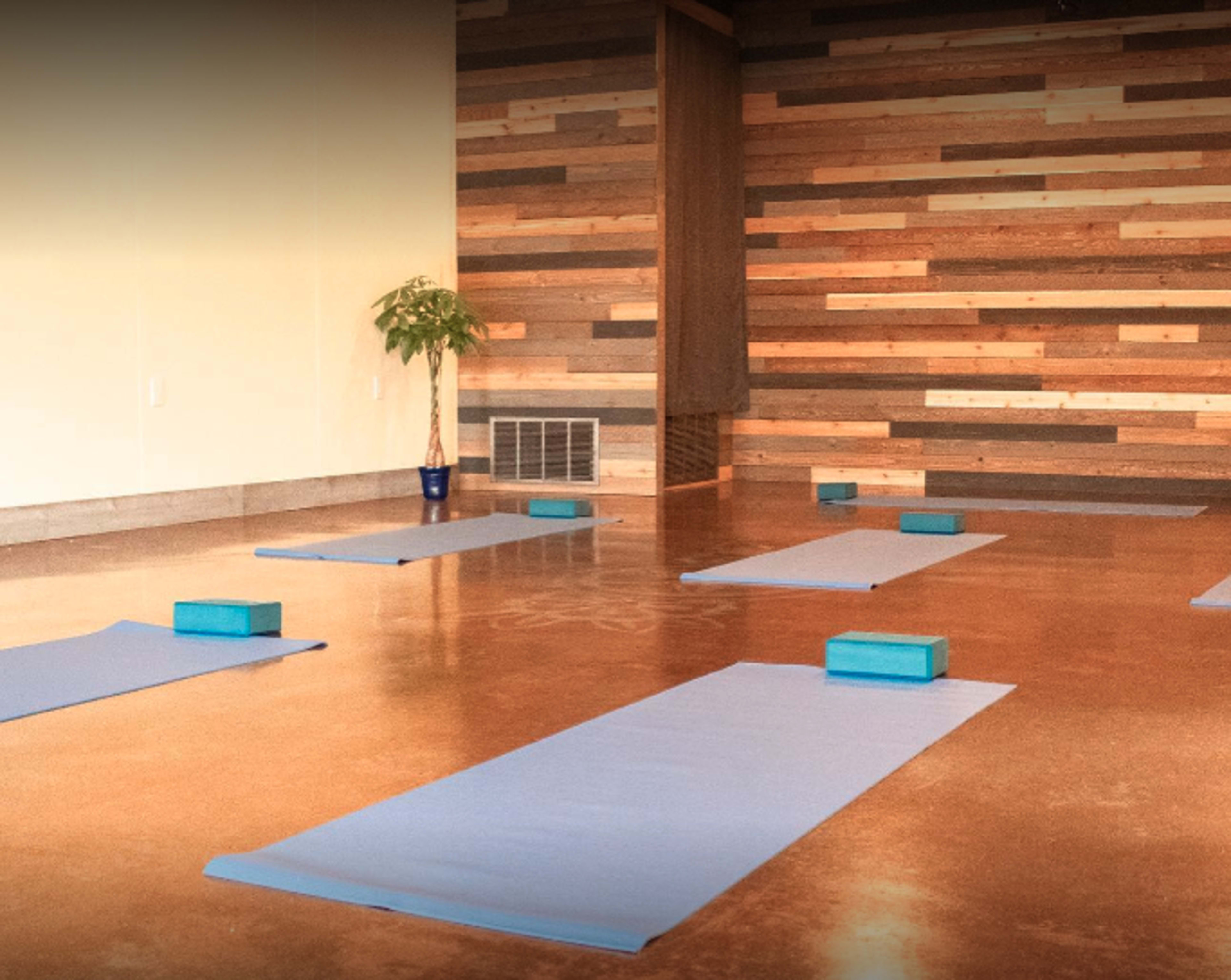 A yoga studio features several blue mats and blocks arranged neatly on a polished floor against a wooden accent wall.