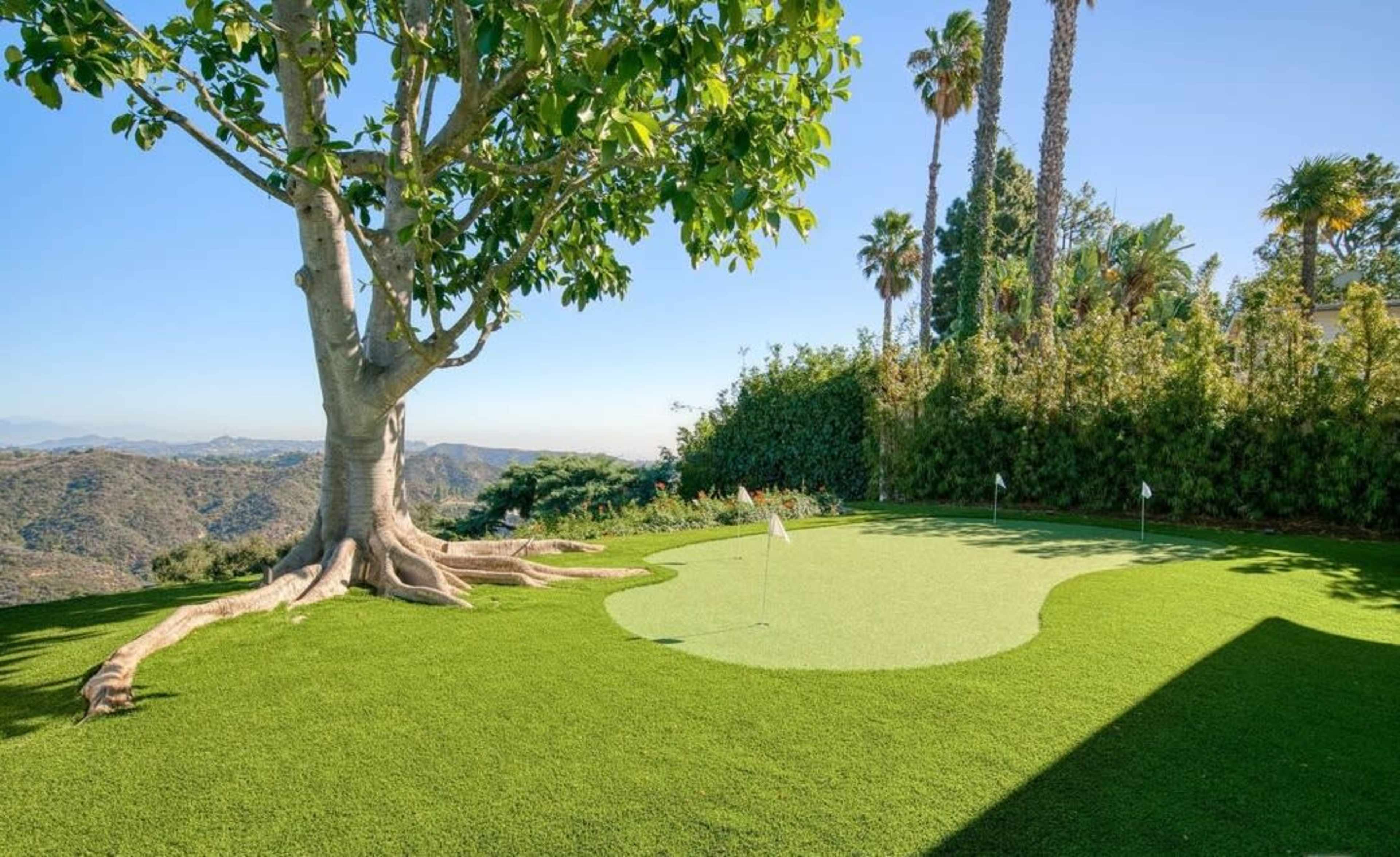 The image shows a green artificial putting green surrounded by palm trees and hills in the background.