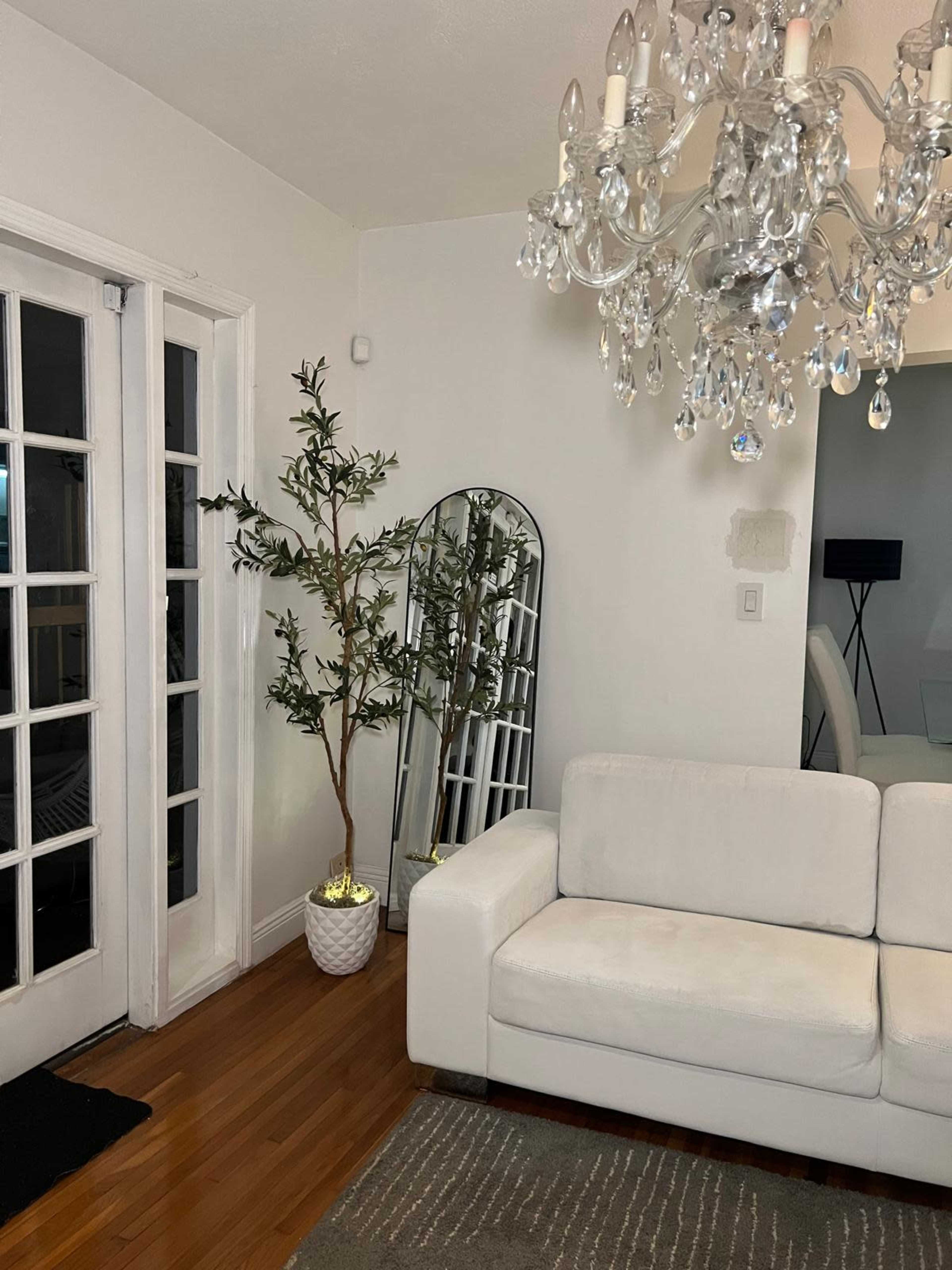 Cozy, Modern, Bright and Versatile Palm Tree House Image in Miami Springs, Miami Springs, FL