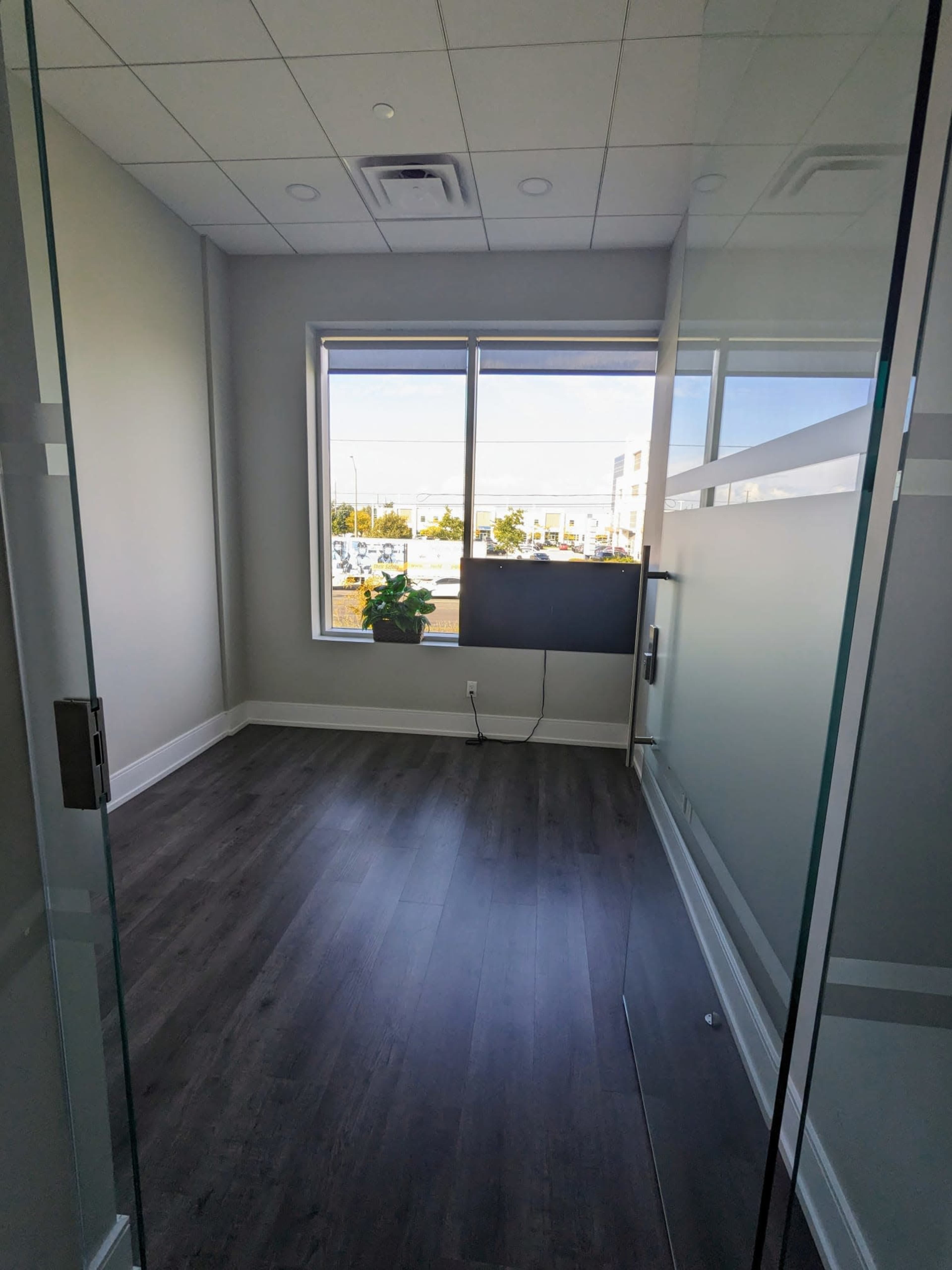 A small office space with a large window, a potted plant, and a mounted screen on the wall.