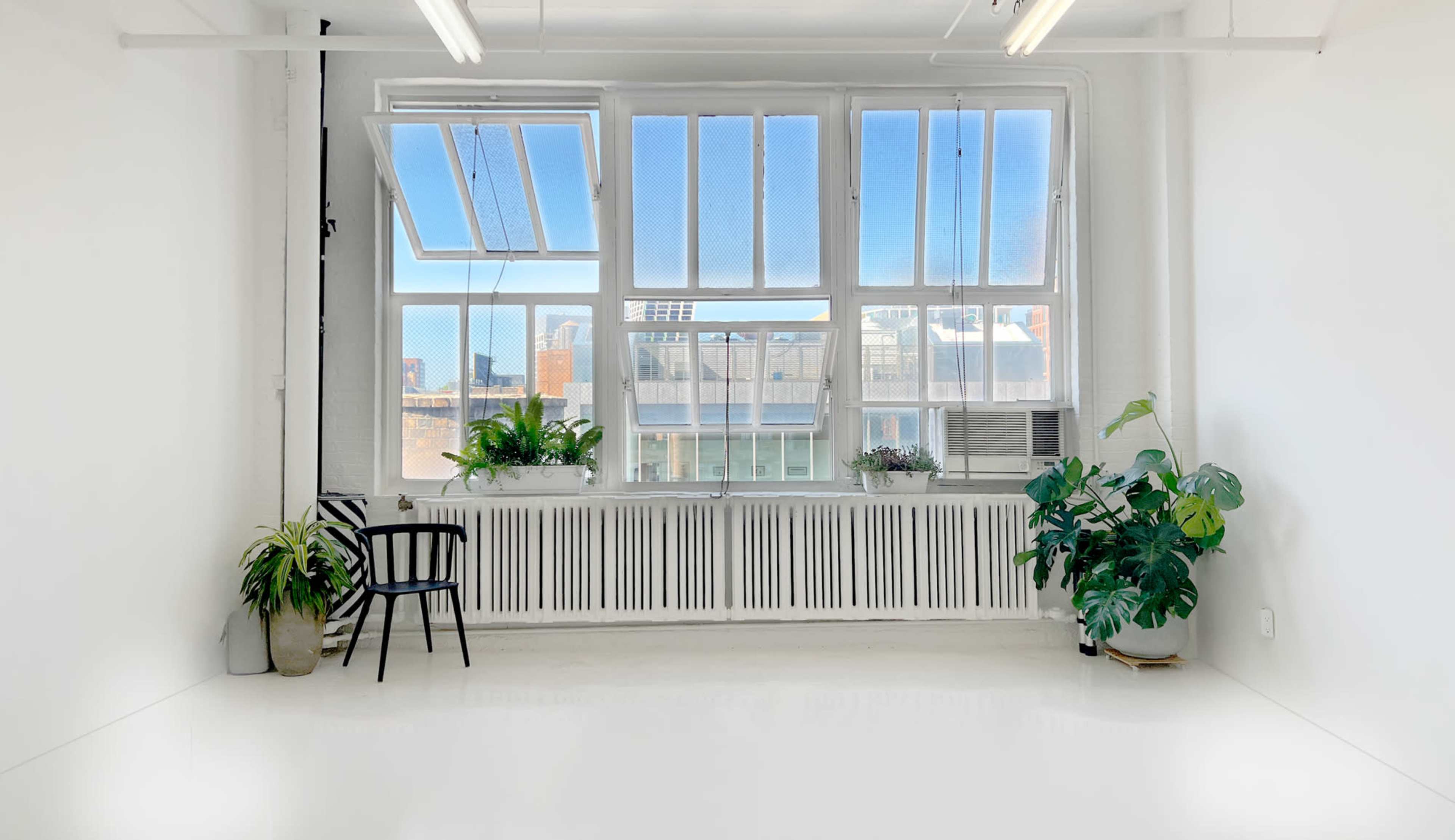 The image shows a bright, empty room with large windows and potted plants along the windowsill.