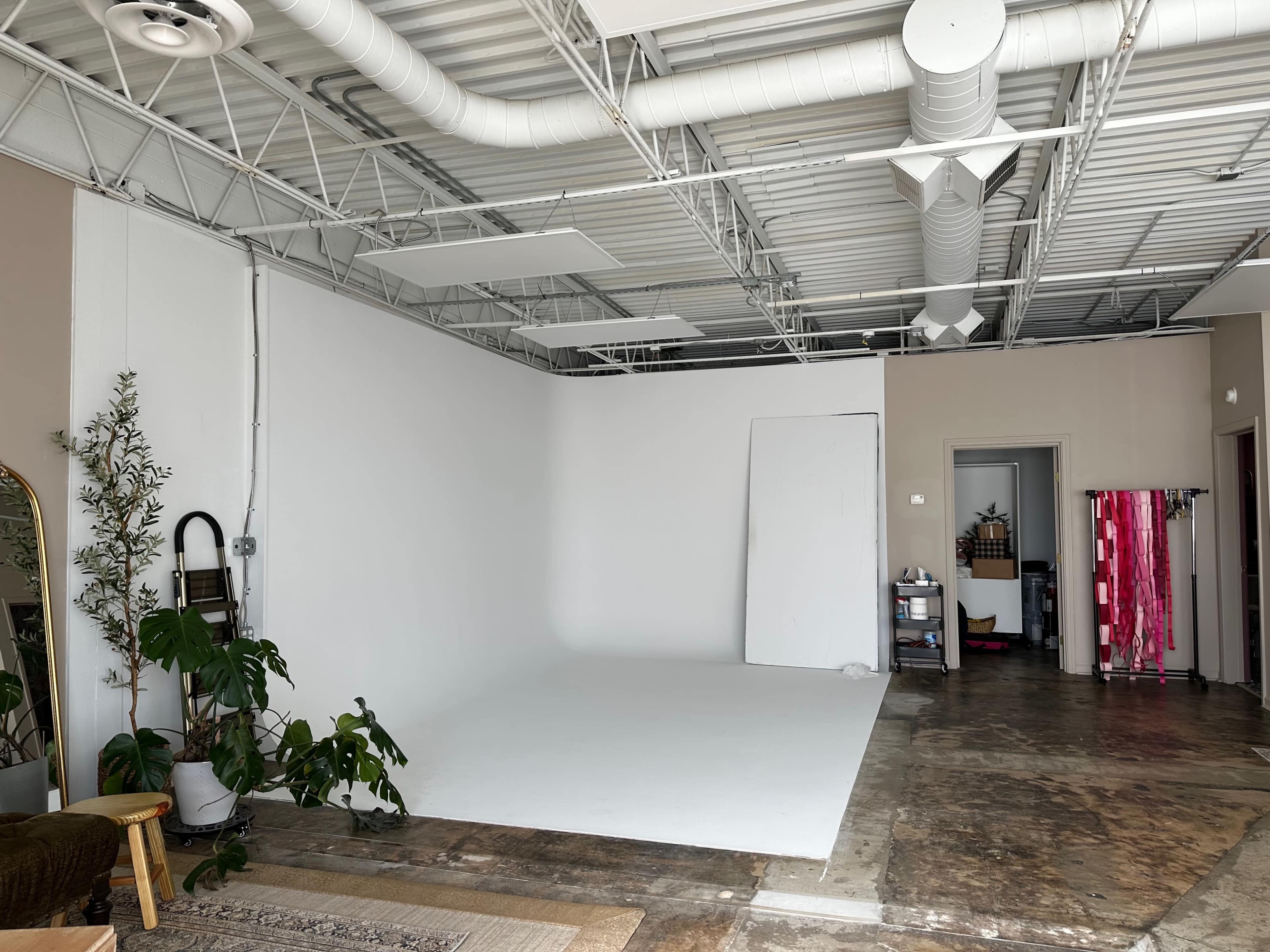 A spacious, empty studio with a white backdrop, concrete flooring, and plants along the left side.