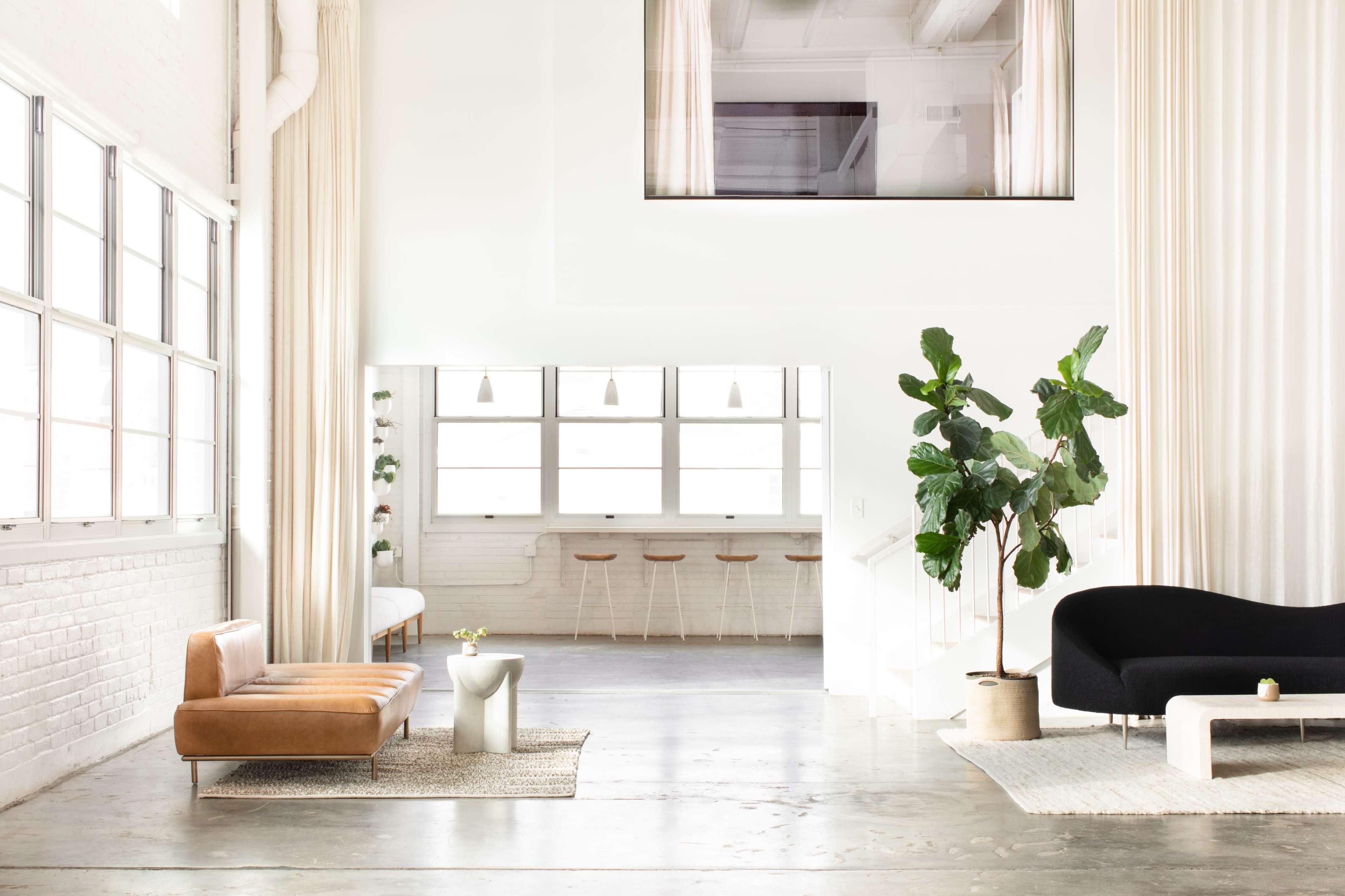 The image shows a bright, modern living space with high ceilings, large windows, a brown leather sofa, a black couch, and a tall plant beside a minimalist side table.