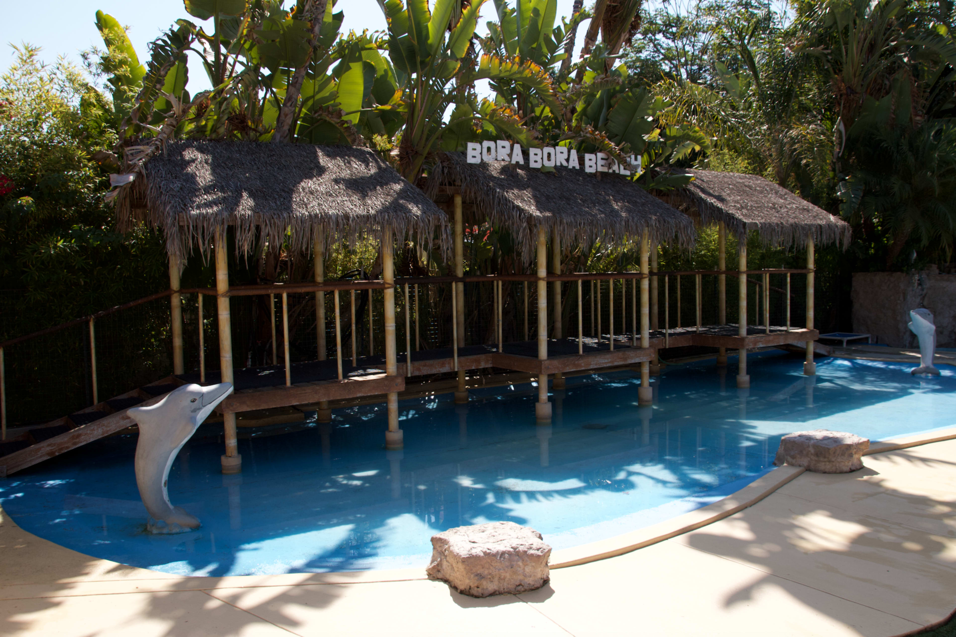 A swimming pool area with thatched-roof huts and decorative dolphin sculptures surrounded by tropical plants.