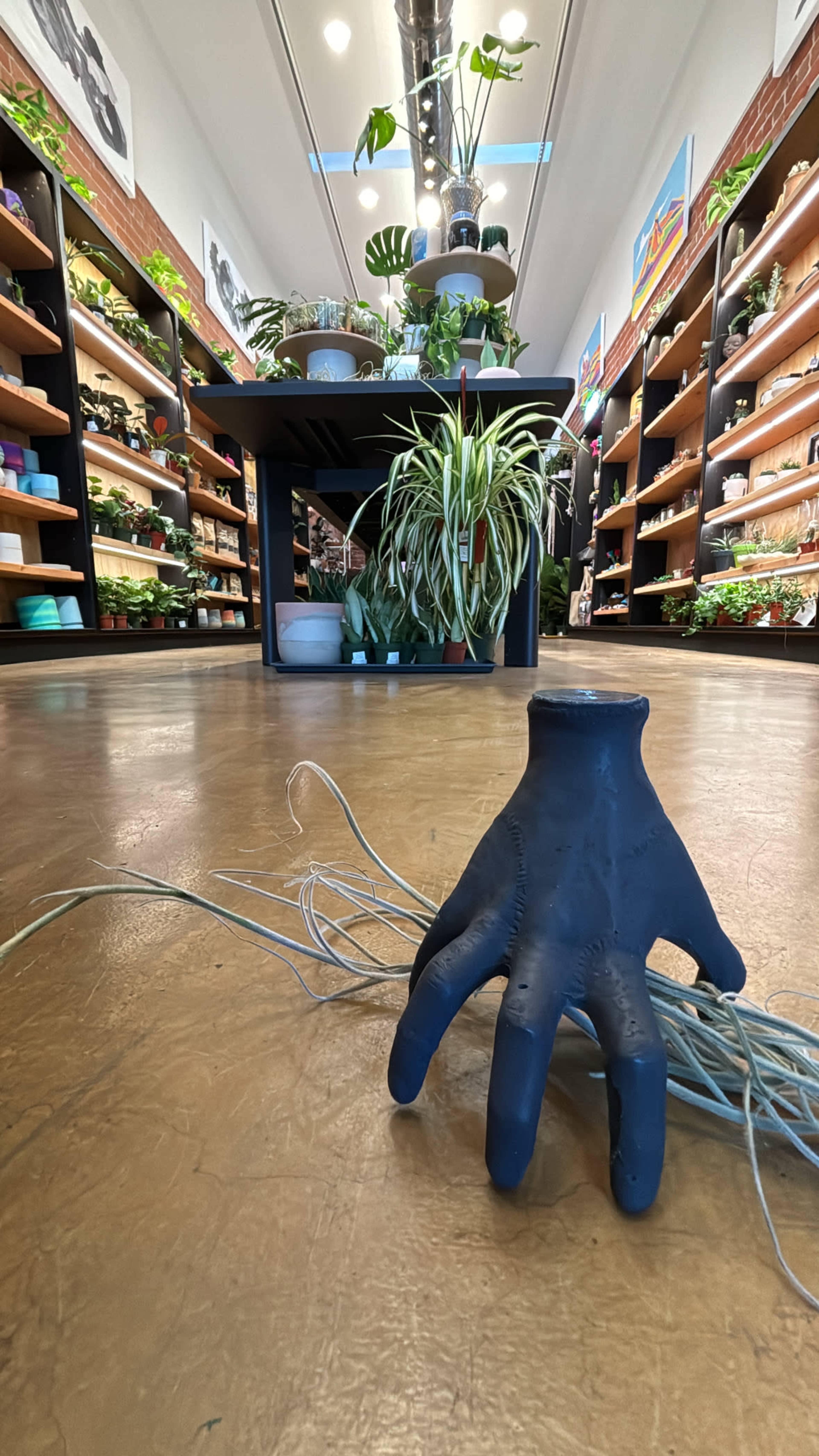 The image shows a modern plant shop interior with shelves lined with various potted plants and a black hand-shaped object on the floor with wires extending from it.
