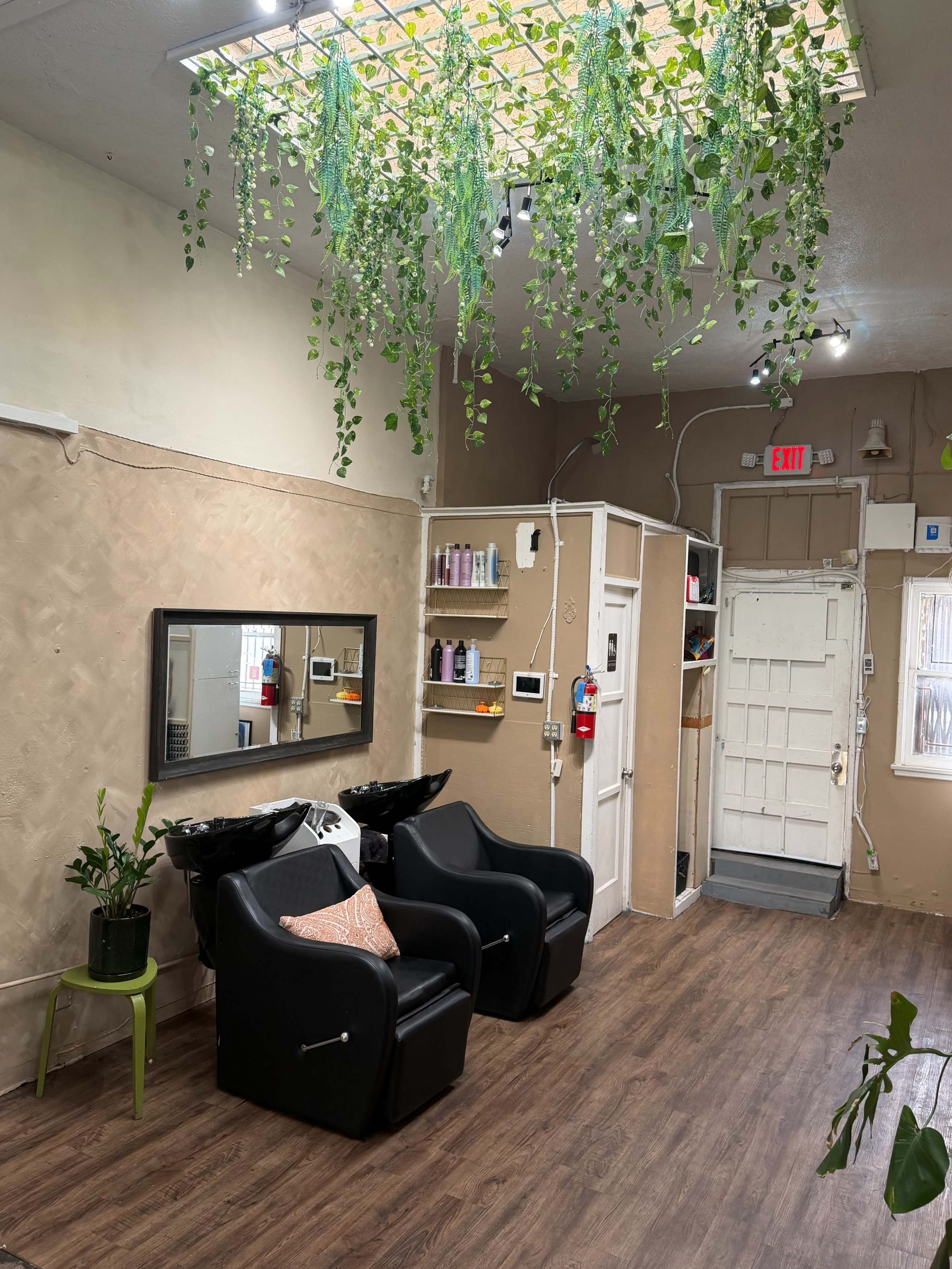 The image shows a hair salon interior with two black styling chairs, a large mirror, and decorative greenery hanging from the ceiling.