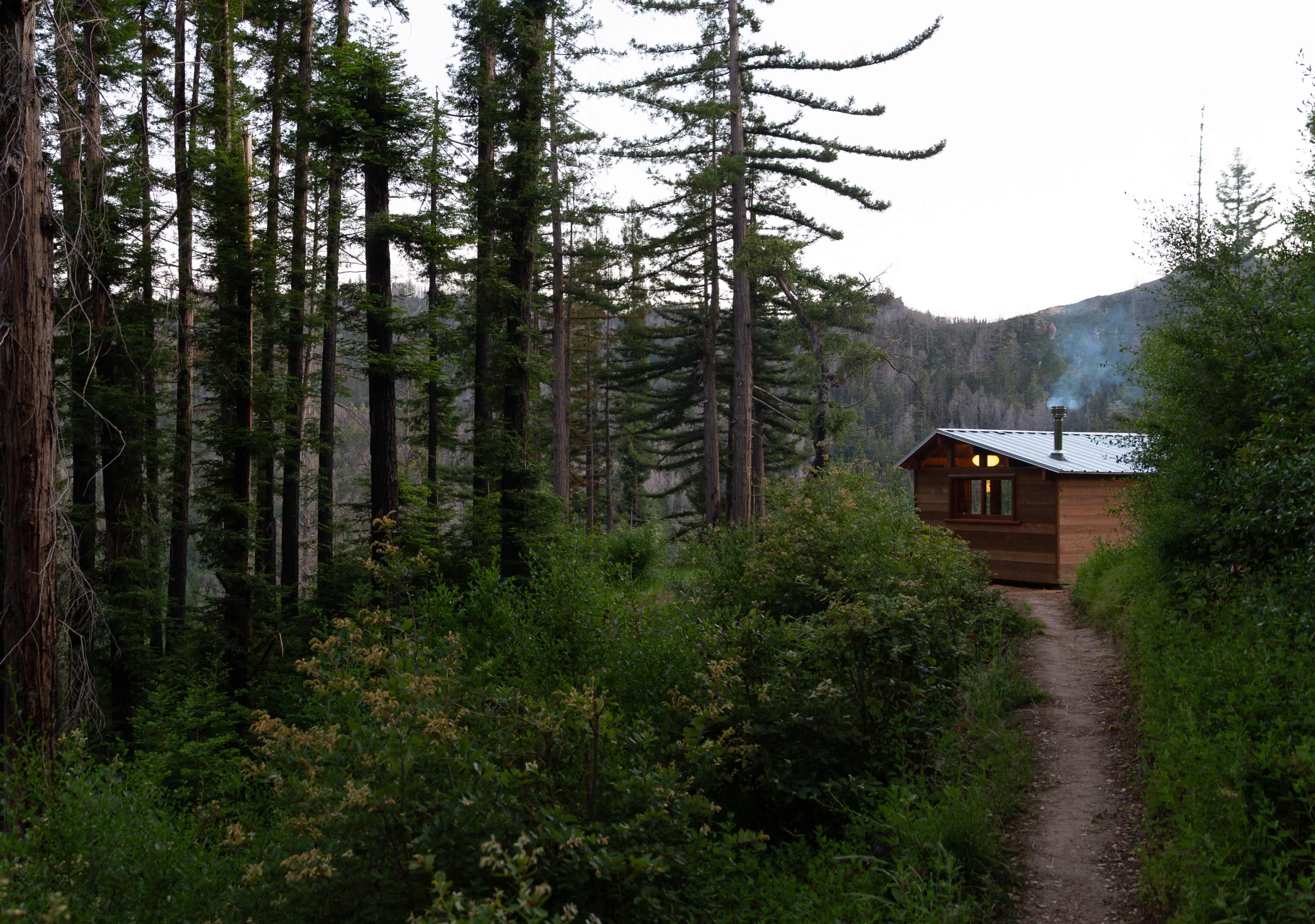 A wooden cabin sits at the edge of a forested path, surrounded by tall trees and shrubs.