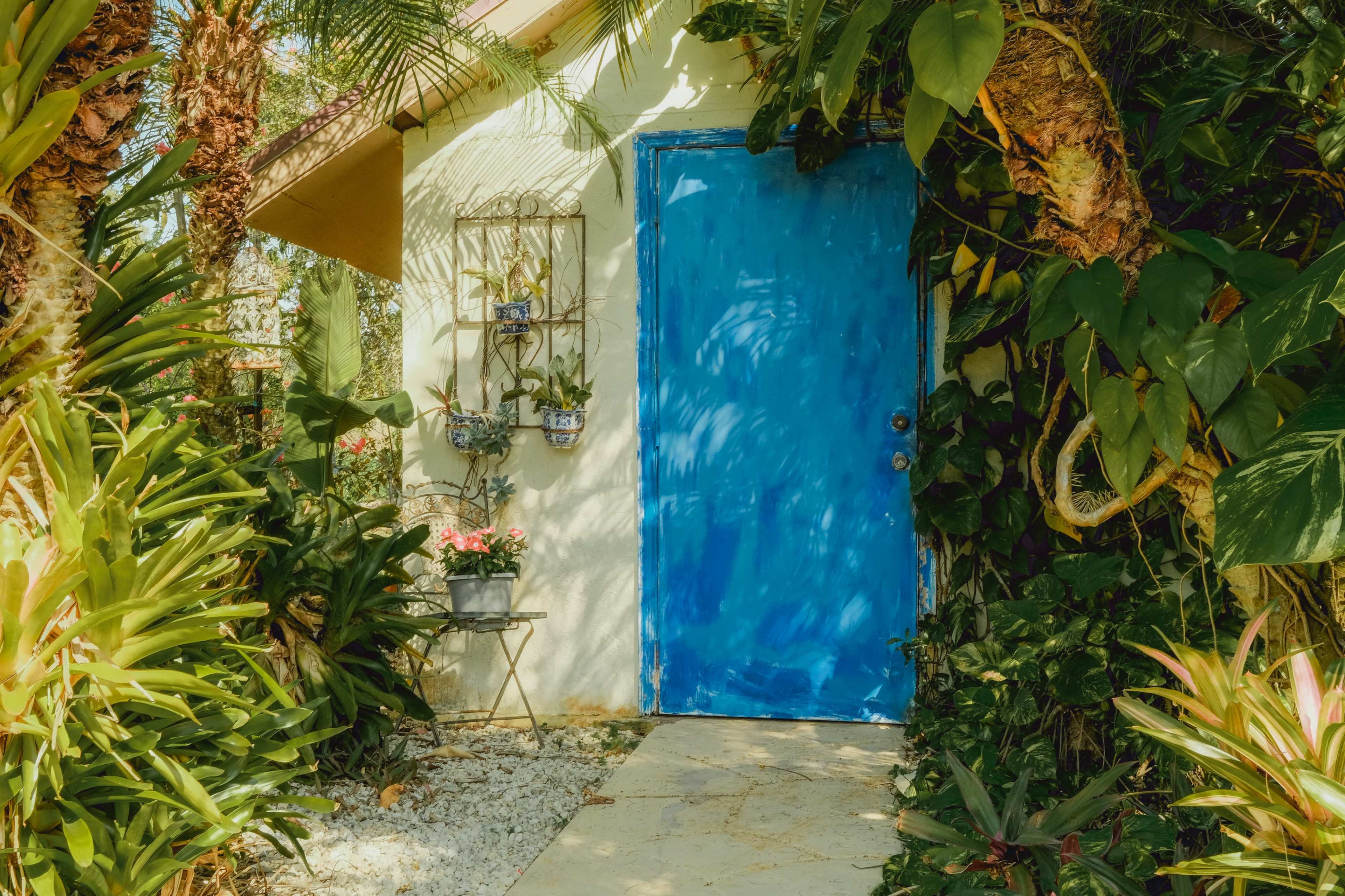A bright blue door is set against a green, leafy exterior, bordered by tropical plants and a small decorative wall-mounted planter.